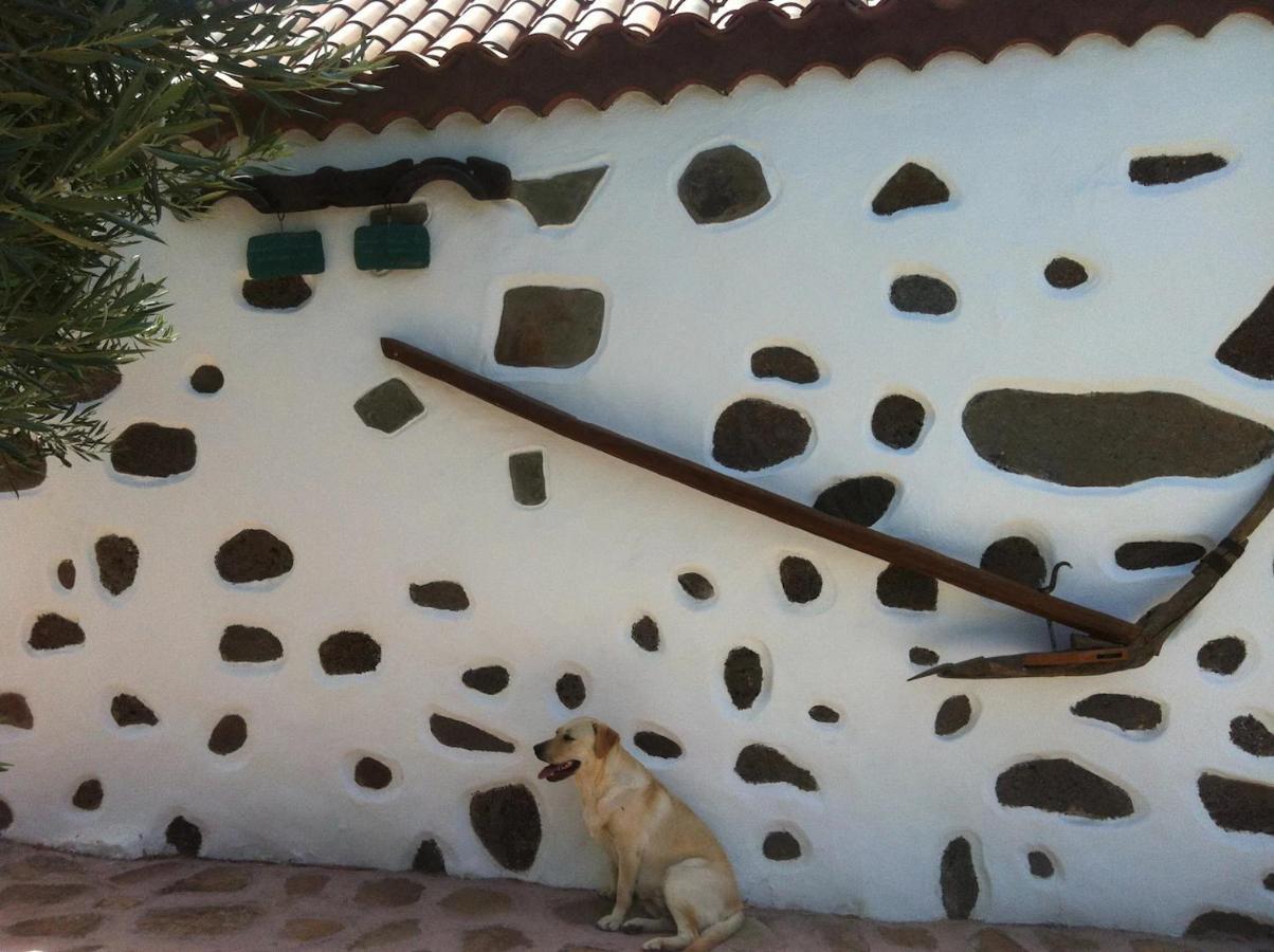 La Casa Vieja De La Montana *