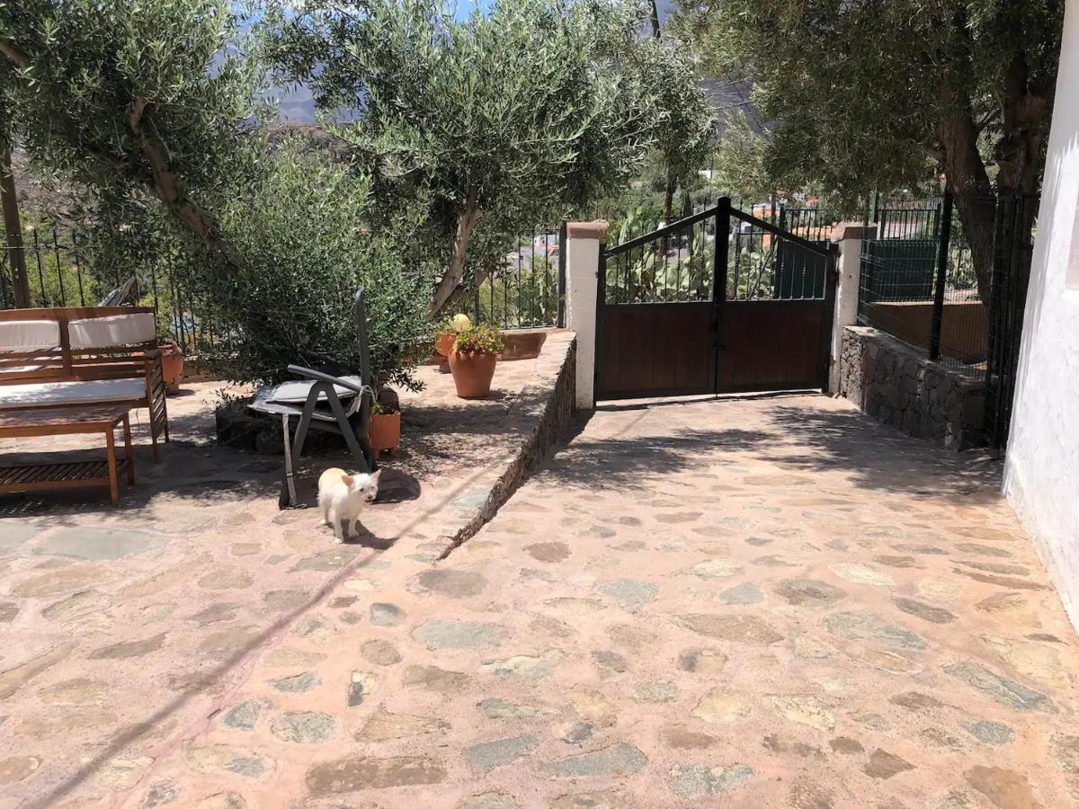 La Casa Vieja De La Montana *