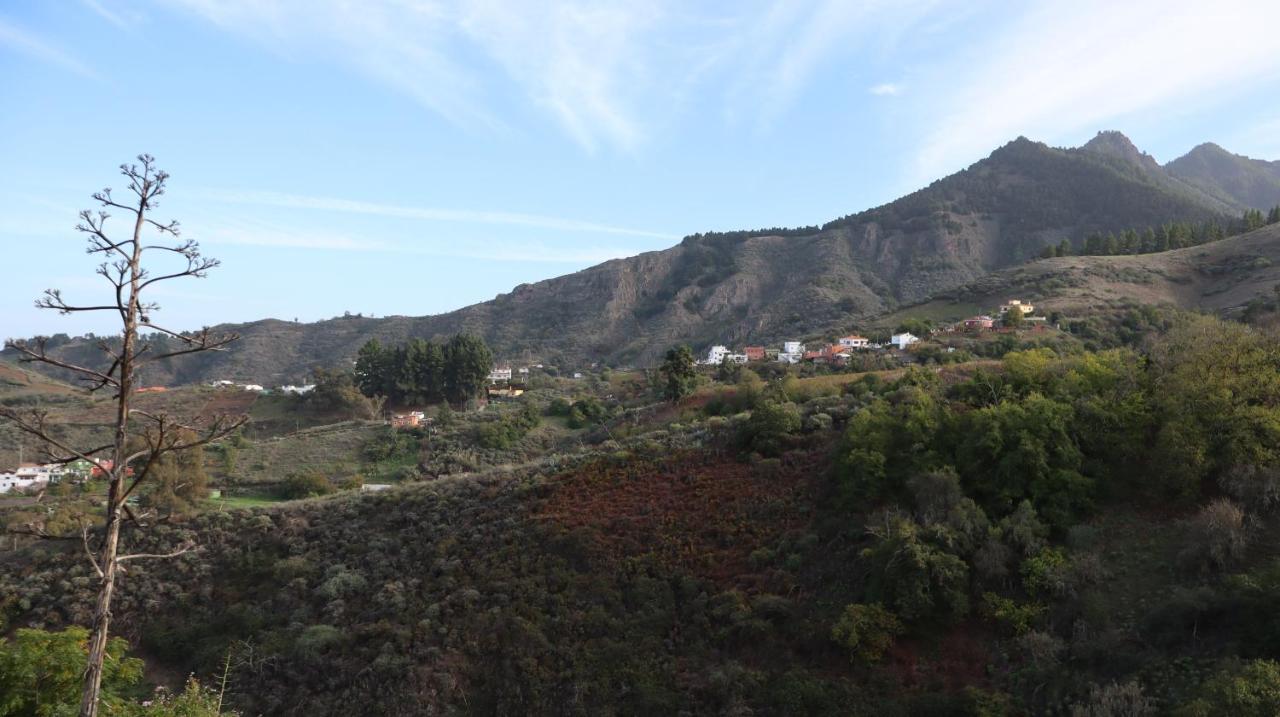 En San Mateo Las Palmas de Gran Canaria