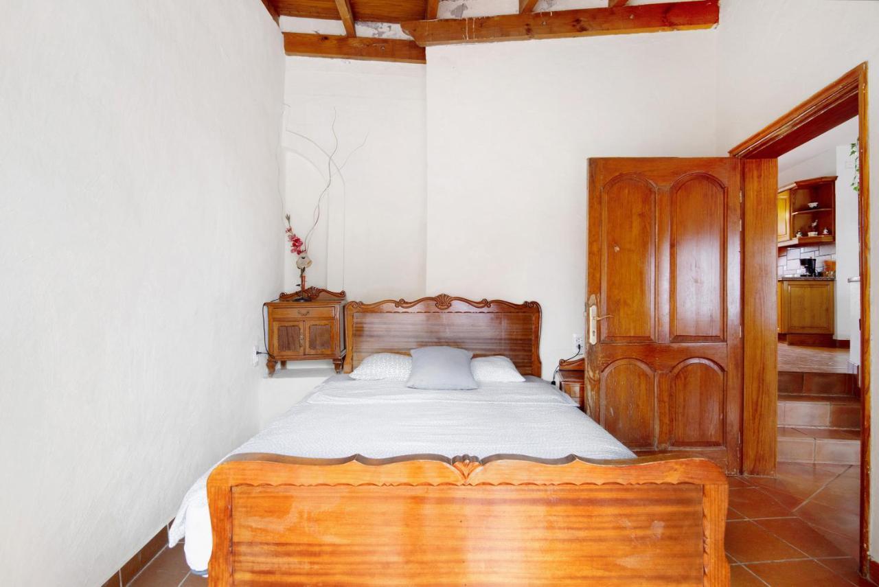 Palmeras Villa