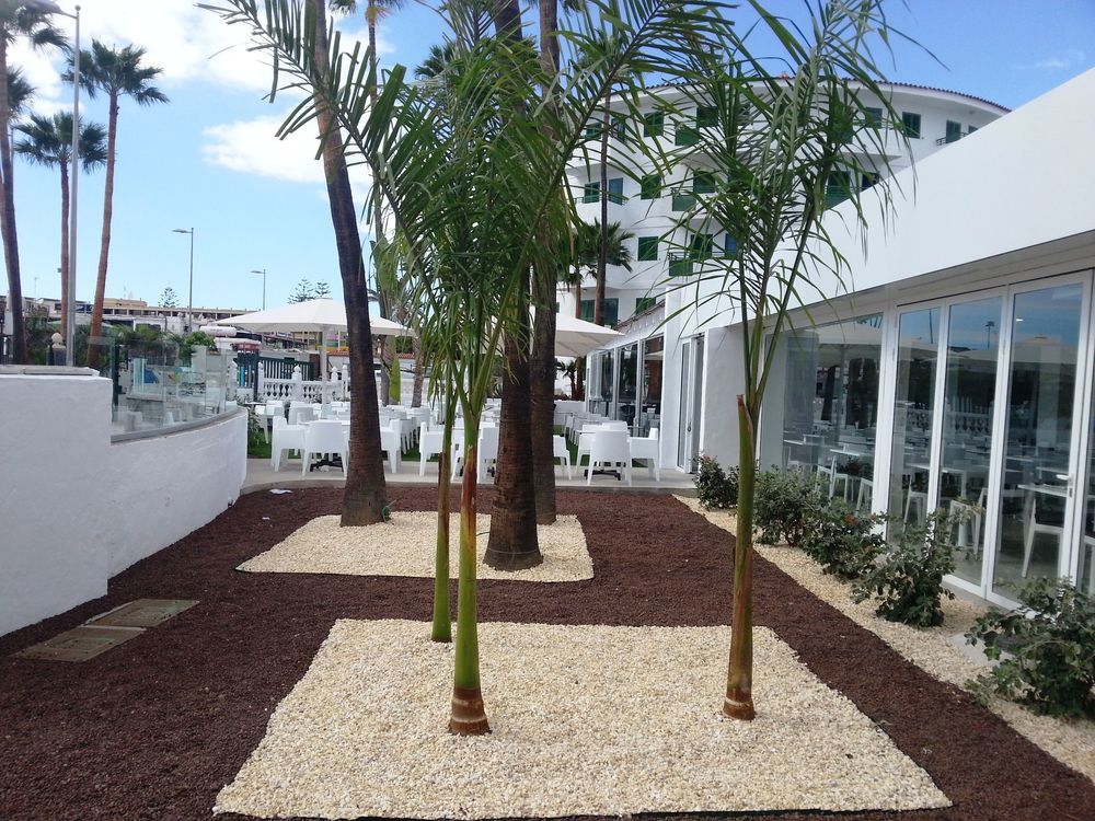 Servatur Playa Bonita (adults Only)