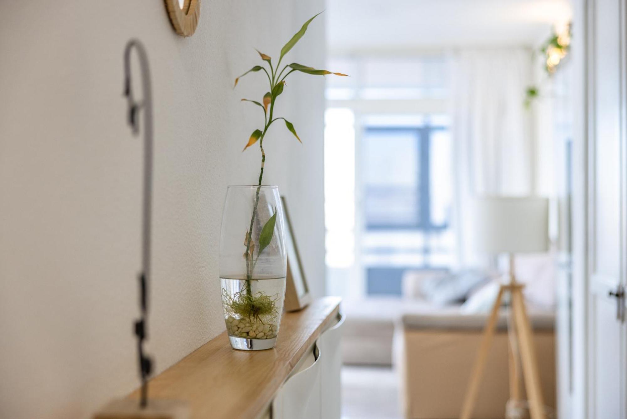 Apartment Leo's House Las Palmas / Gran Canaria
