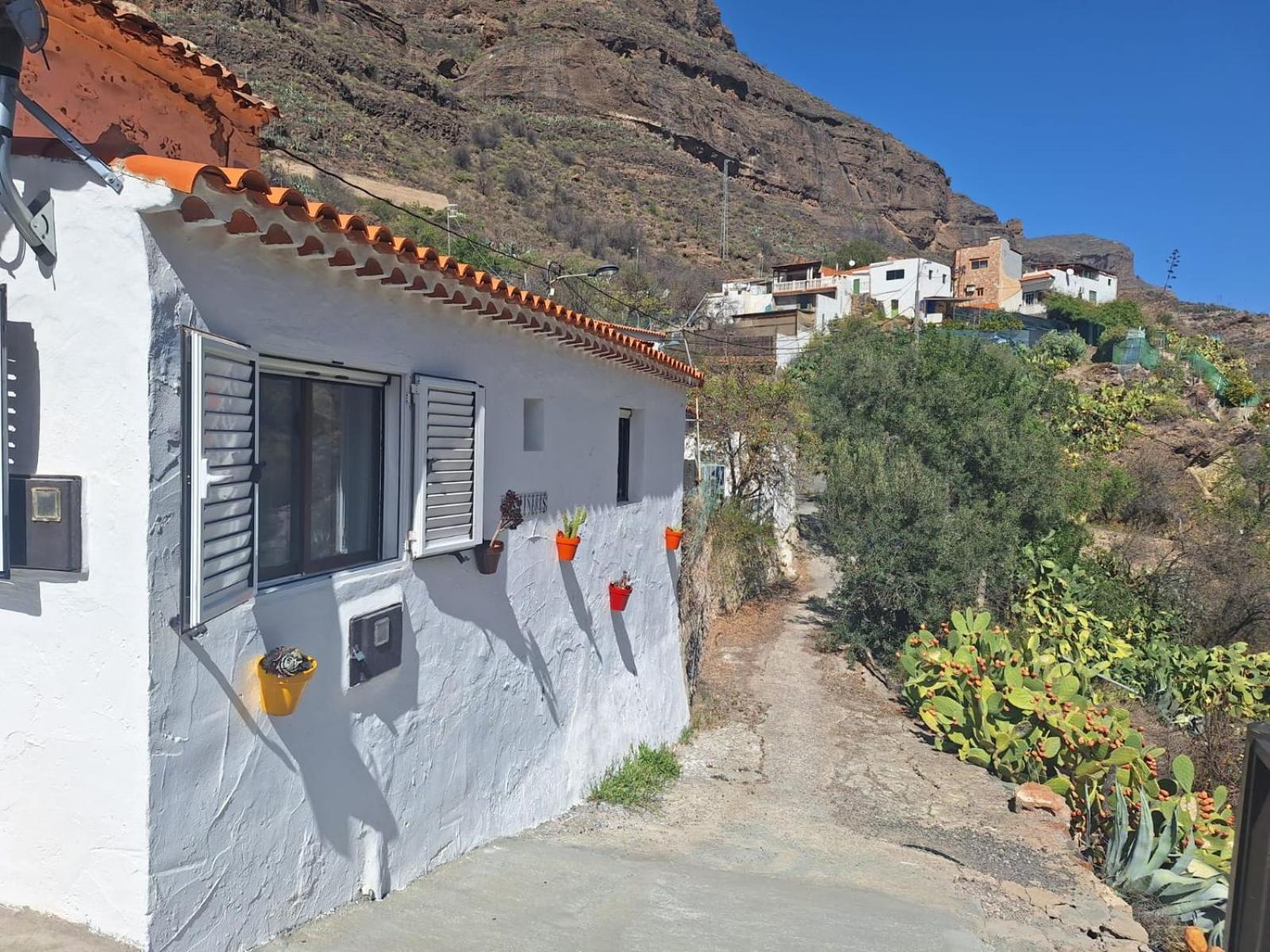 Pinares El Juncal De * Tejeda (Gran Canaria)