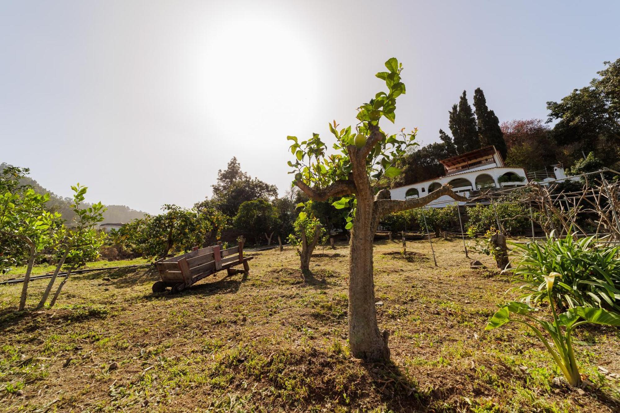 Apartamento Arcos Del Laurel Moya (Gran Canaria)