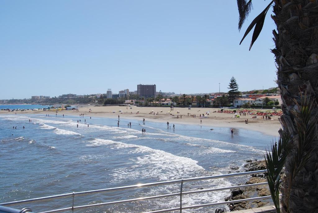 Gavias San Agustin (Gran Canaria)