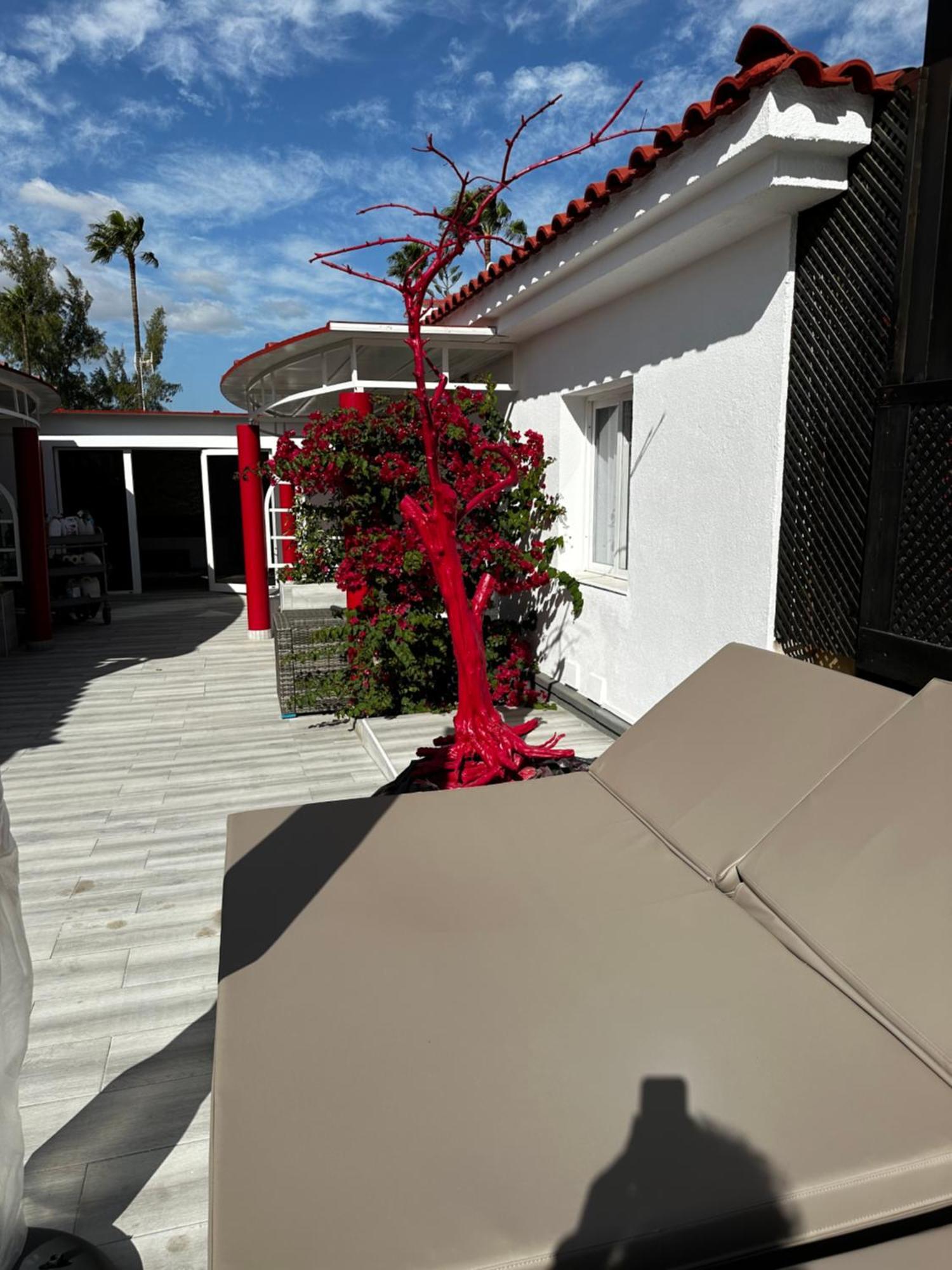 Paradise - Fkk Swinger & Nudist Couples Only Love hotel Maspalomas (Gran Canaria)