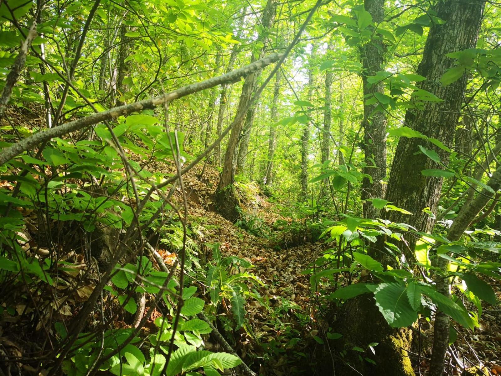 Naturacanaria Сasa de vacaciones