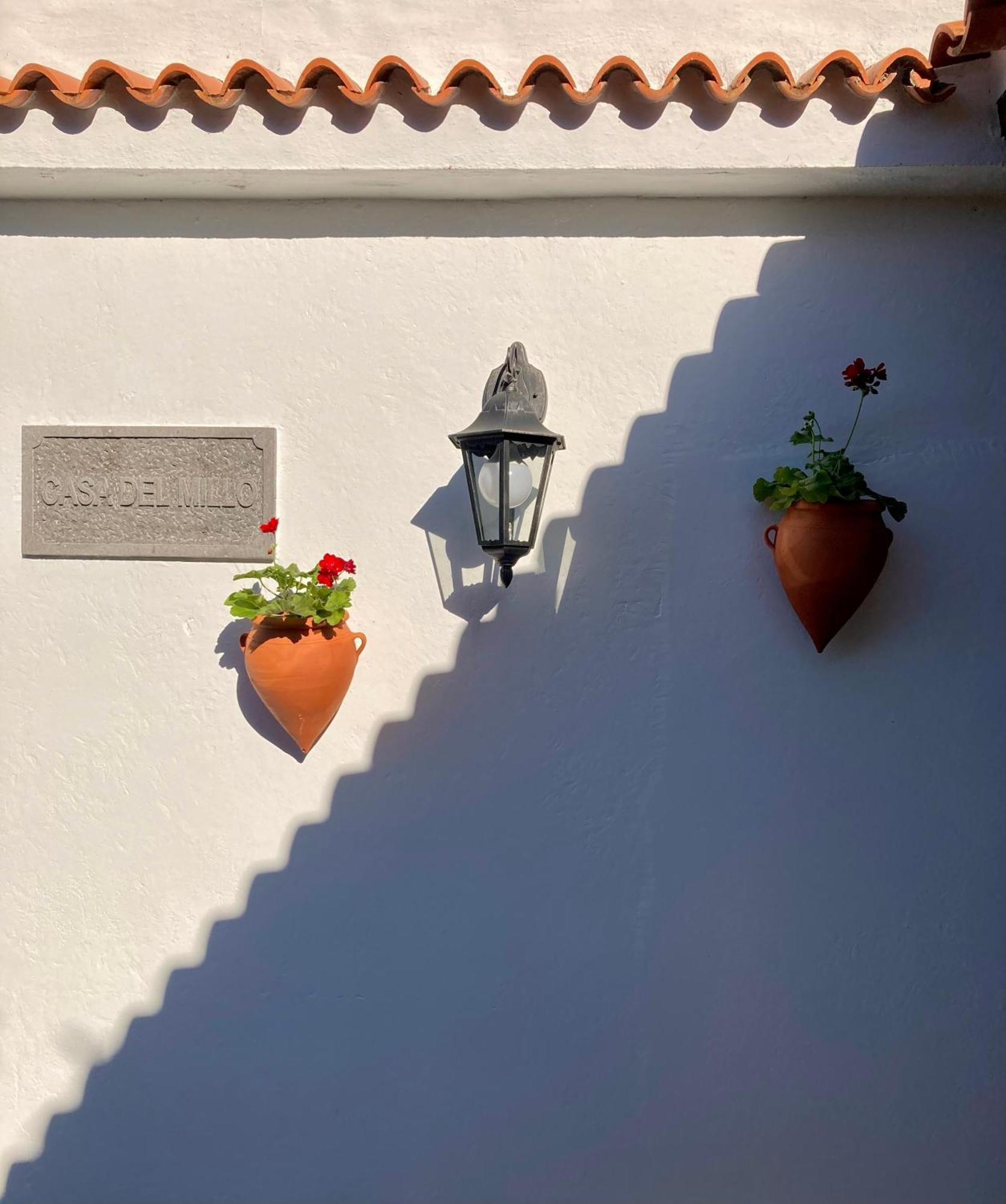 Bella Doramas Panchita & Millo * Moya (Gran Canaria)