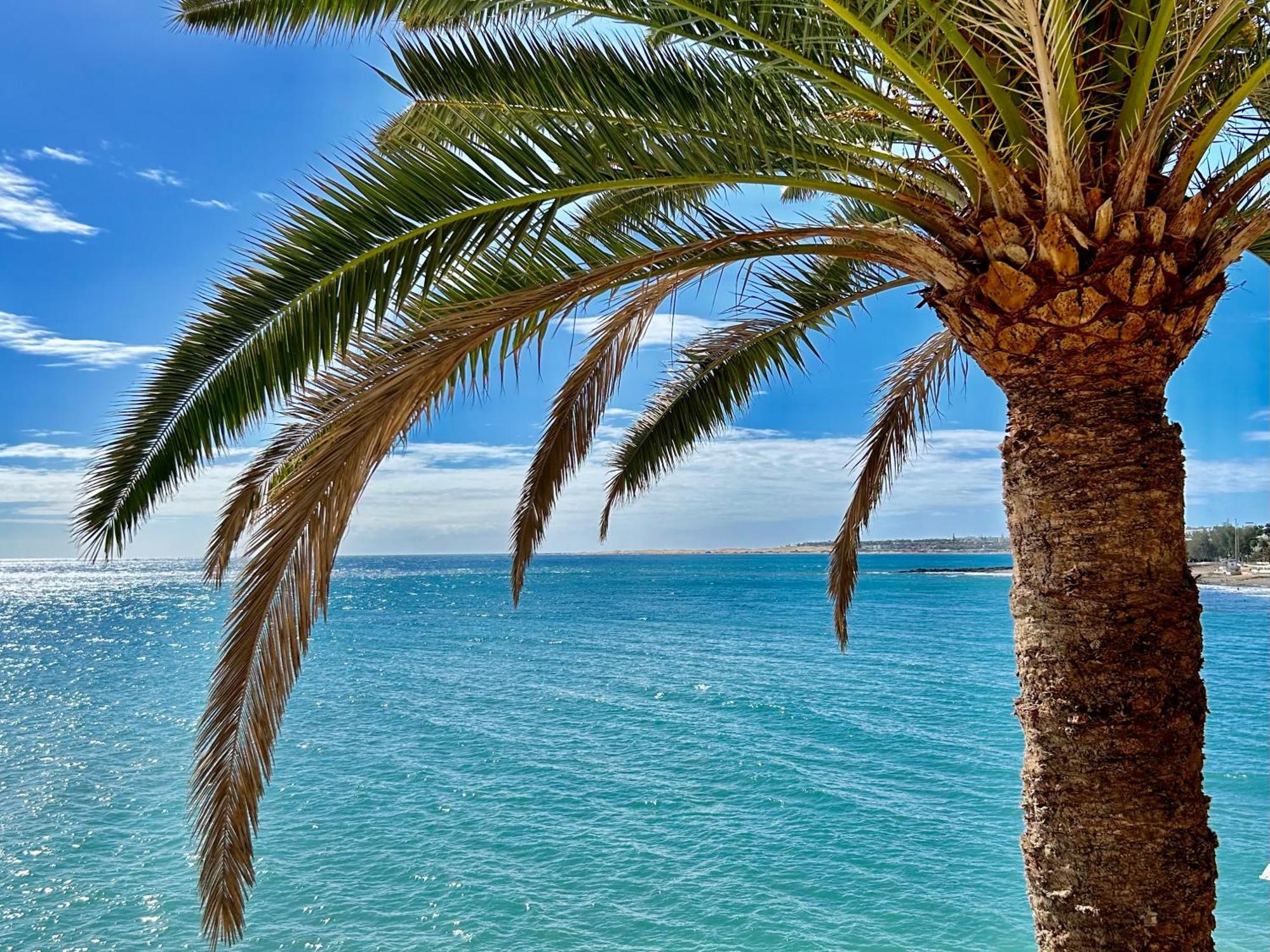 Sobre El Mar Con Vistas A Dunas De Maspalomas San Agustin (Gran Canaria)