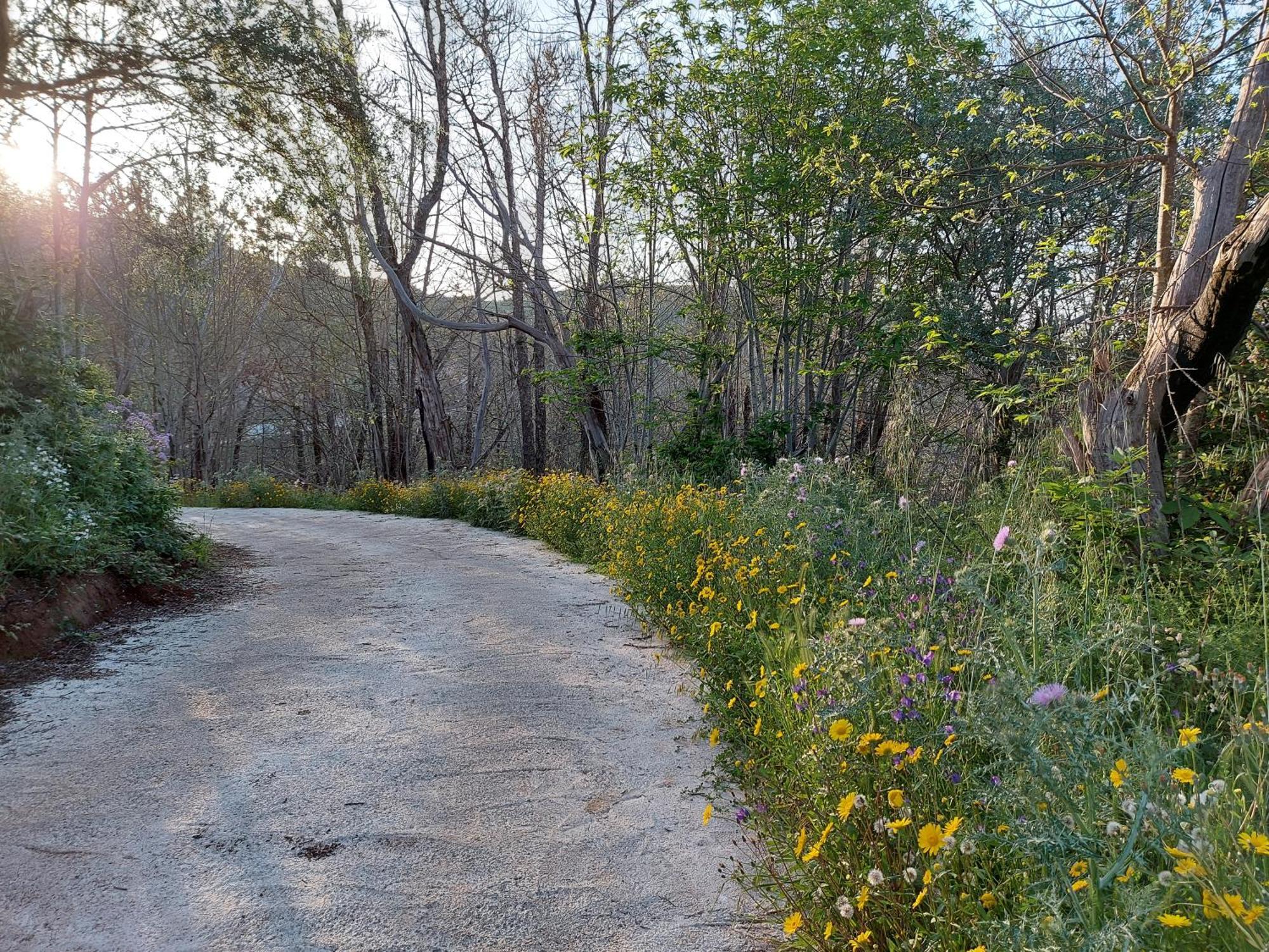 Сasa de vacaciones Naturacanaria Moya (Gran Canaria)