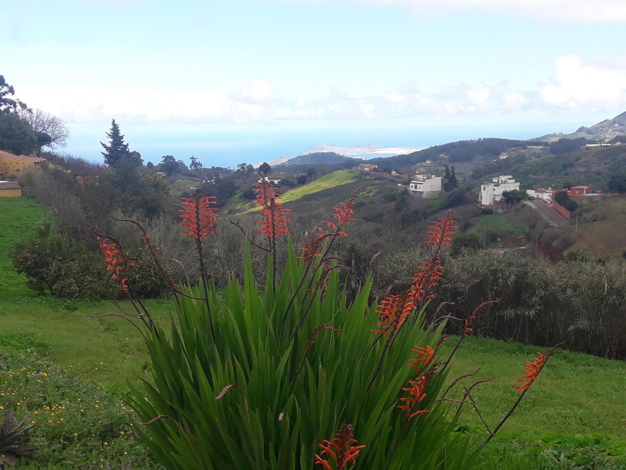 Сasa de vacaciones Naturacanaria Moya (Gran Canaria)