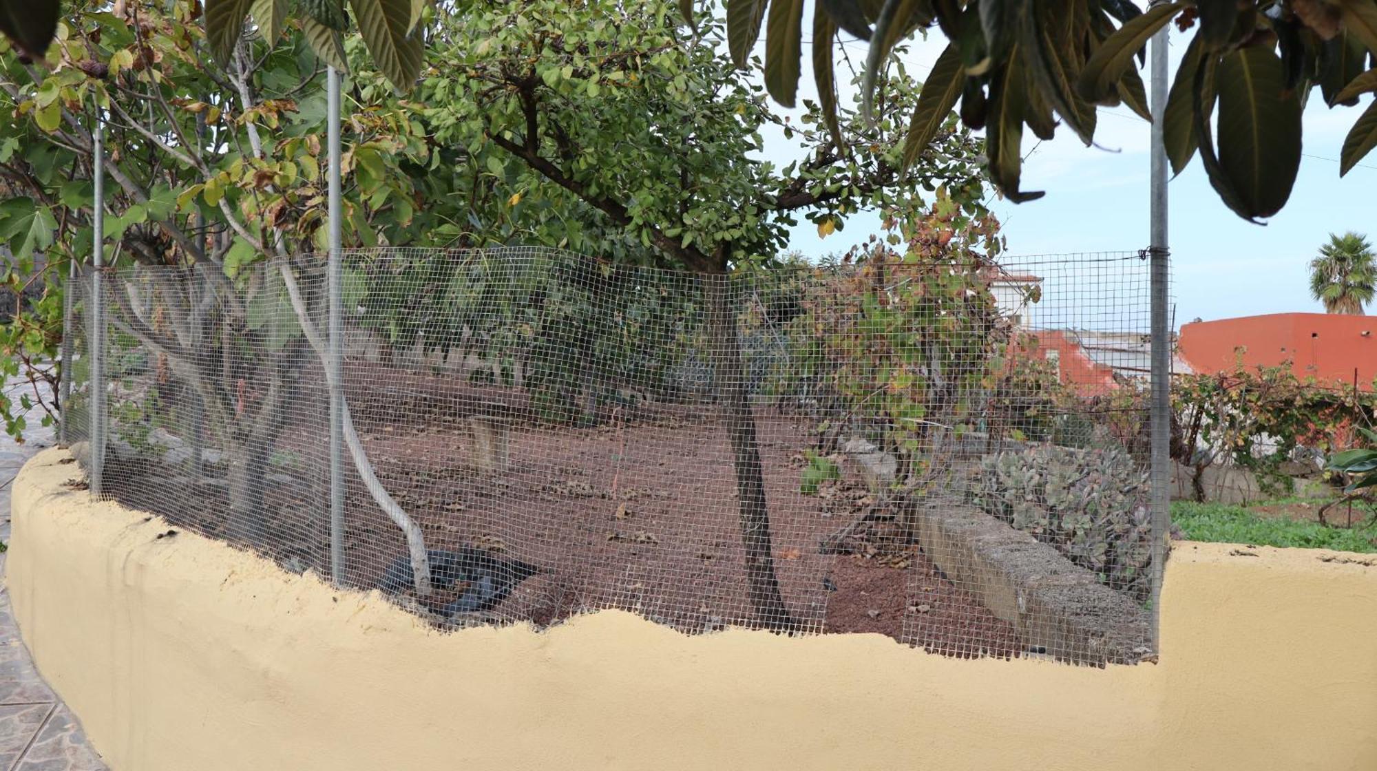 En San Mateo * Las Palmas de Gran Canaria
