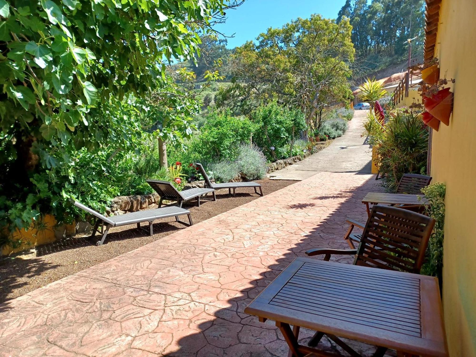 Сasa de vacaciones Naturacanaria Moya (Gran Canaria)