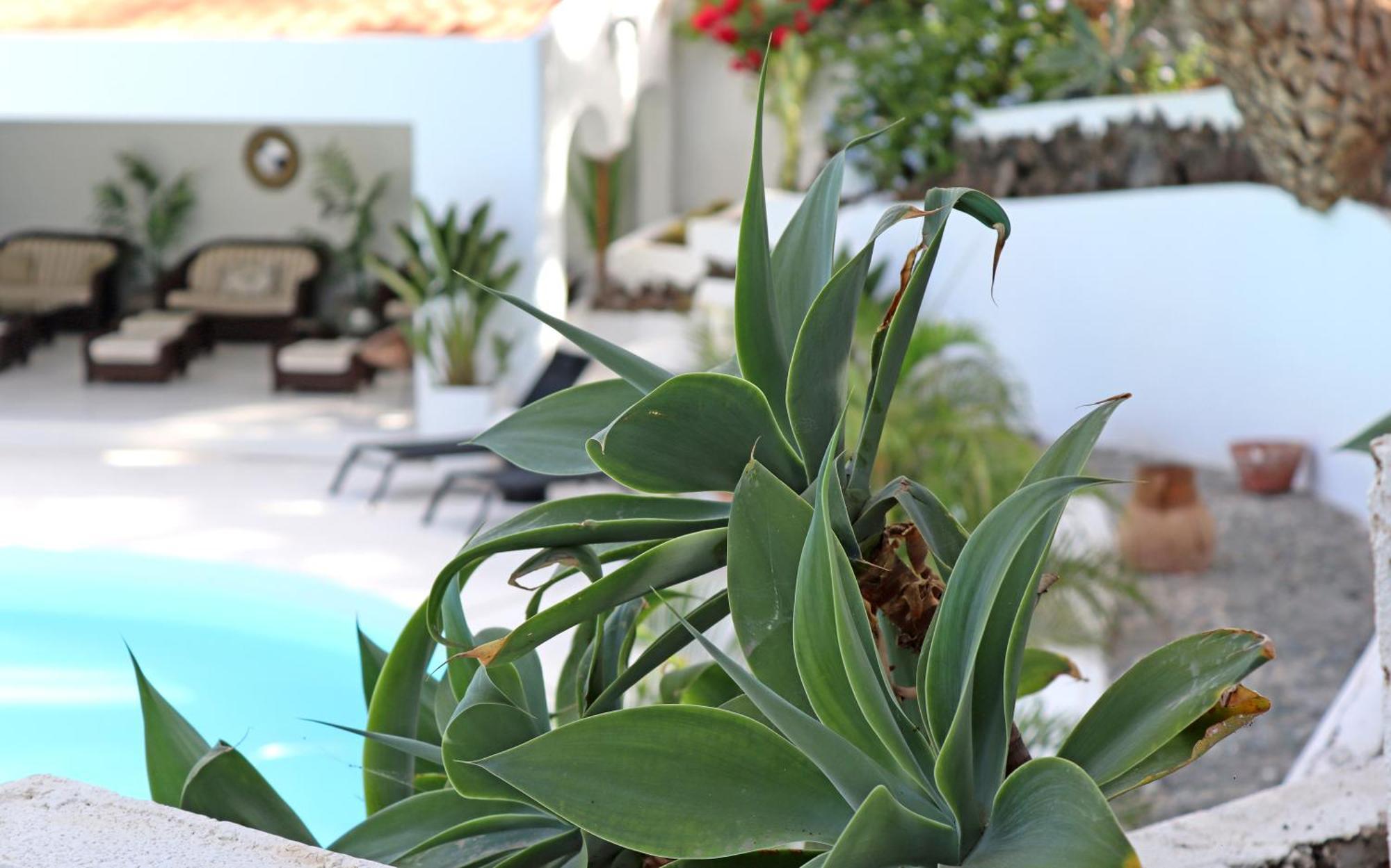 Resort Cortijo San Ignacio 4*