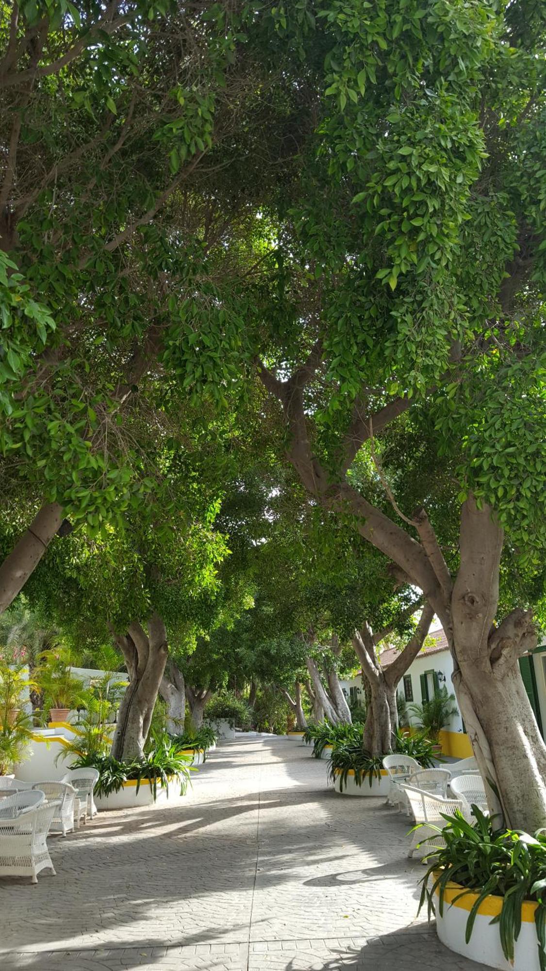 Cortijo San Ignacio Resort
