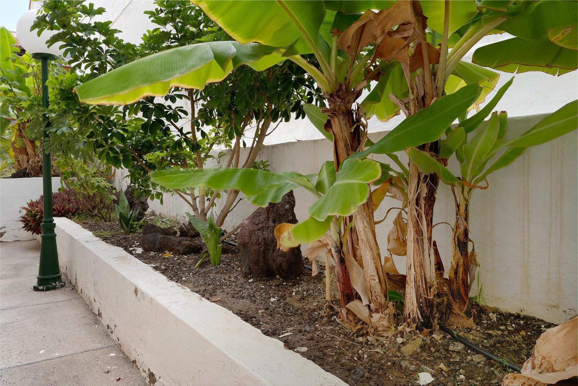 Dunia Apartamento San Agustín