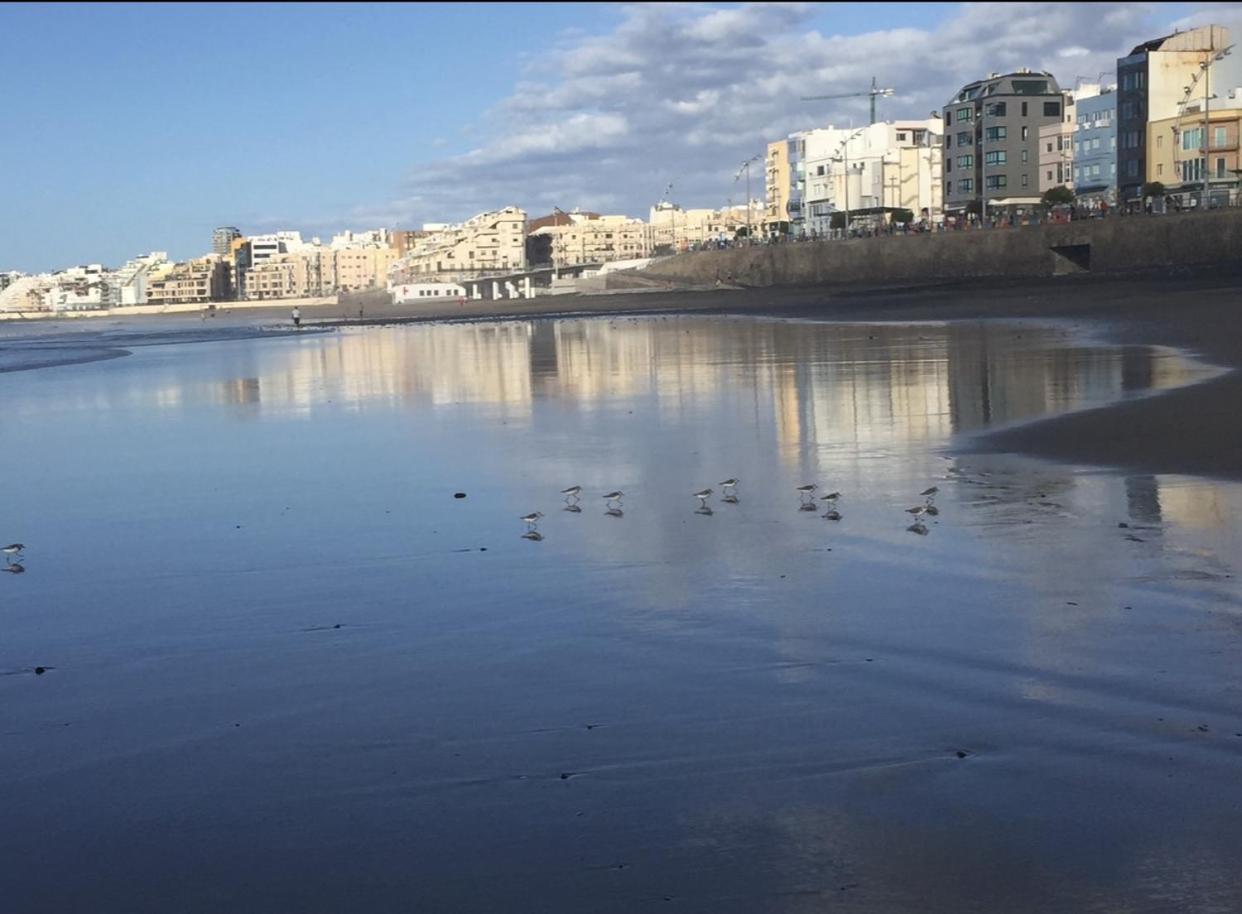 Appartement Canteras
