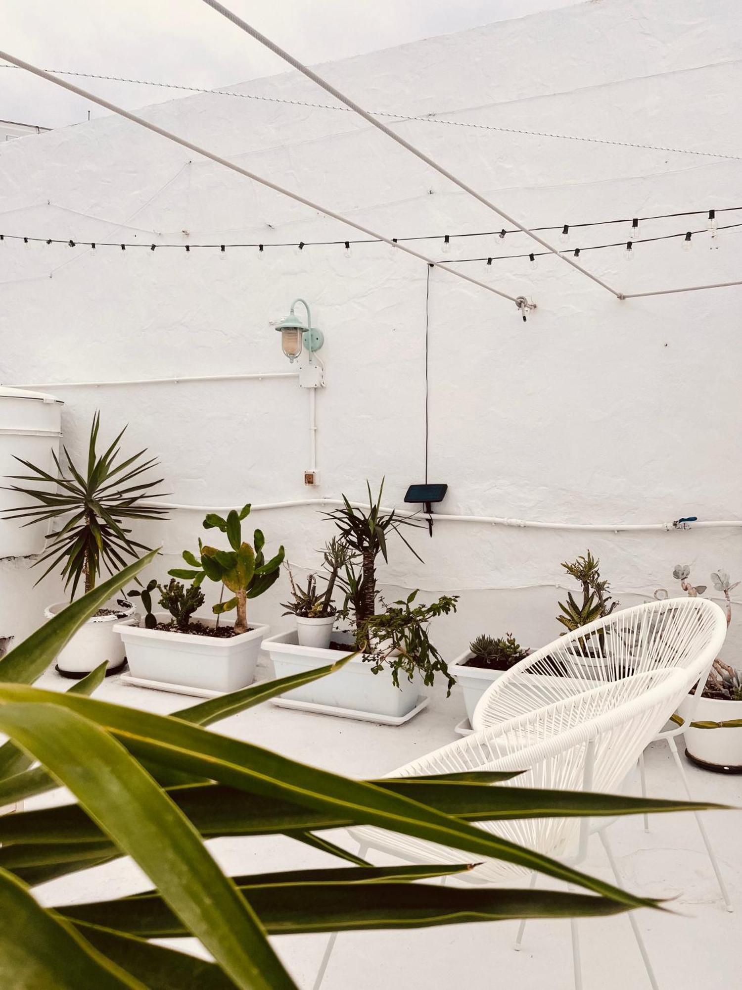 Cool Canaria