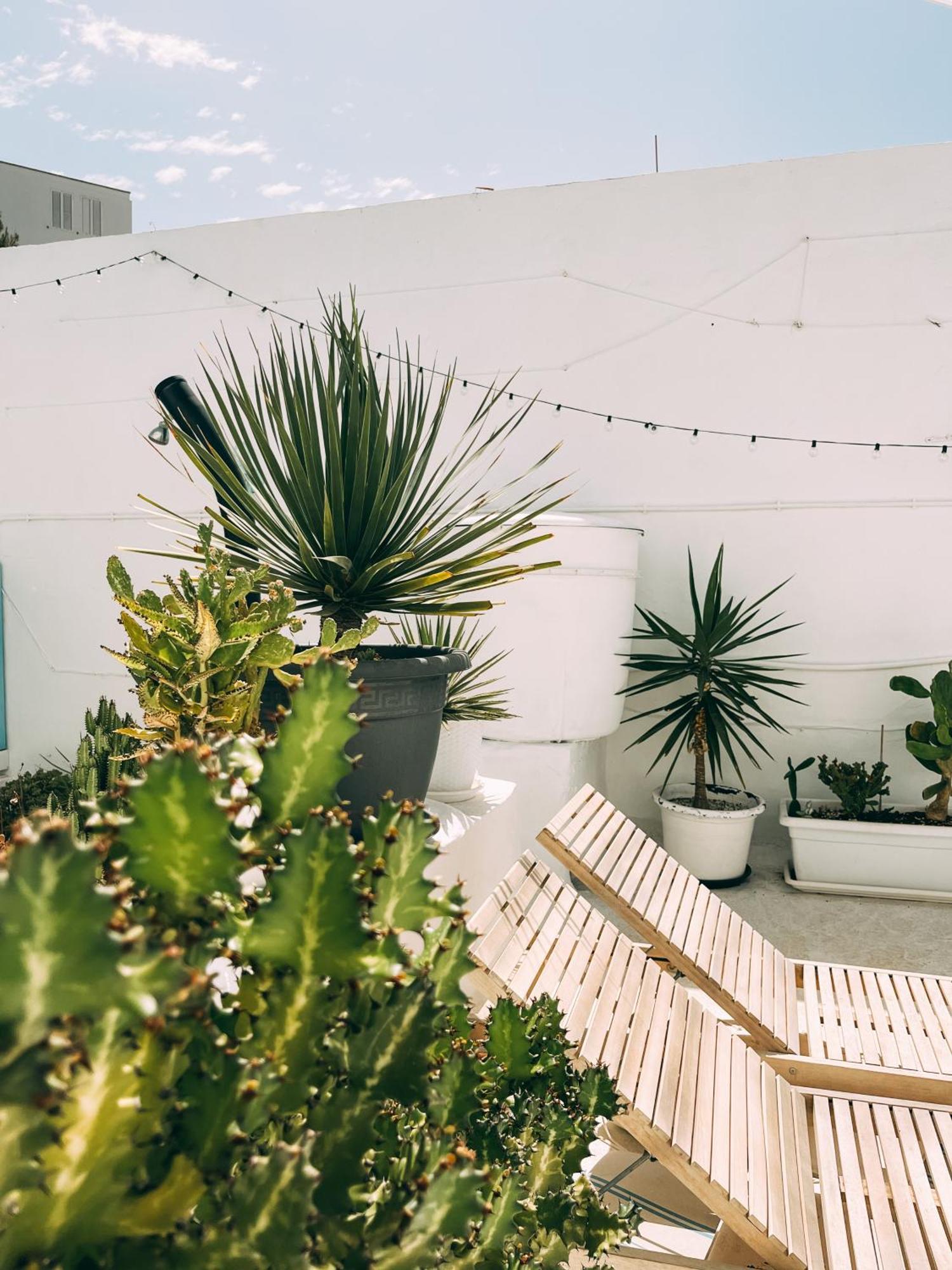 Holiday home Cool Canaria Agaete (Gran Canaria)
