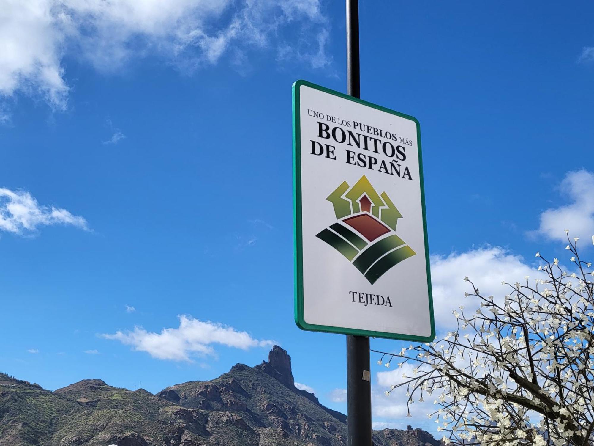 Pinares El Juncal De Tejeda (Gran Canaria)