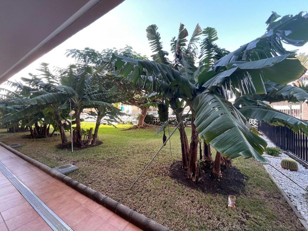 Apartamento Seaview Cactus Playa del Inglés