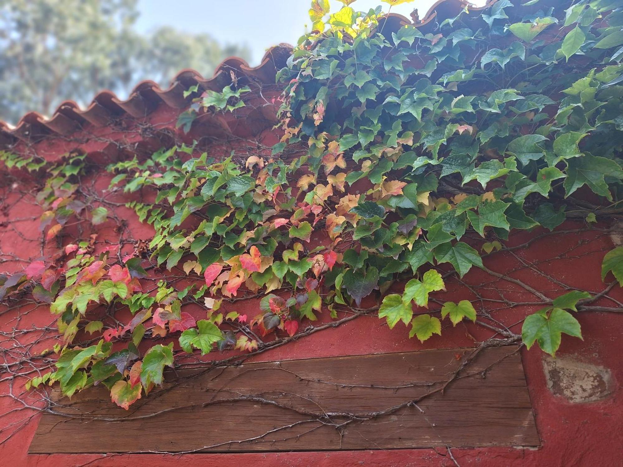 Casa Completa Con Piscina Privada El Roble *