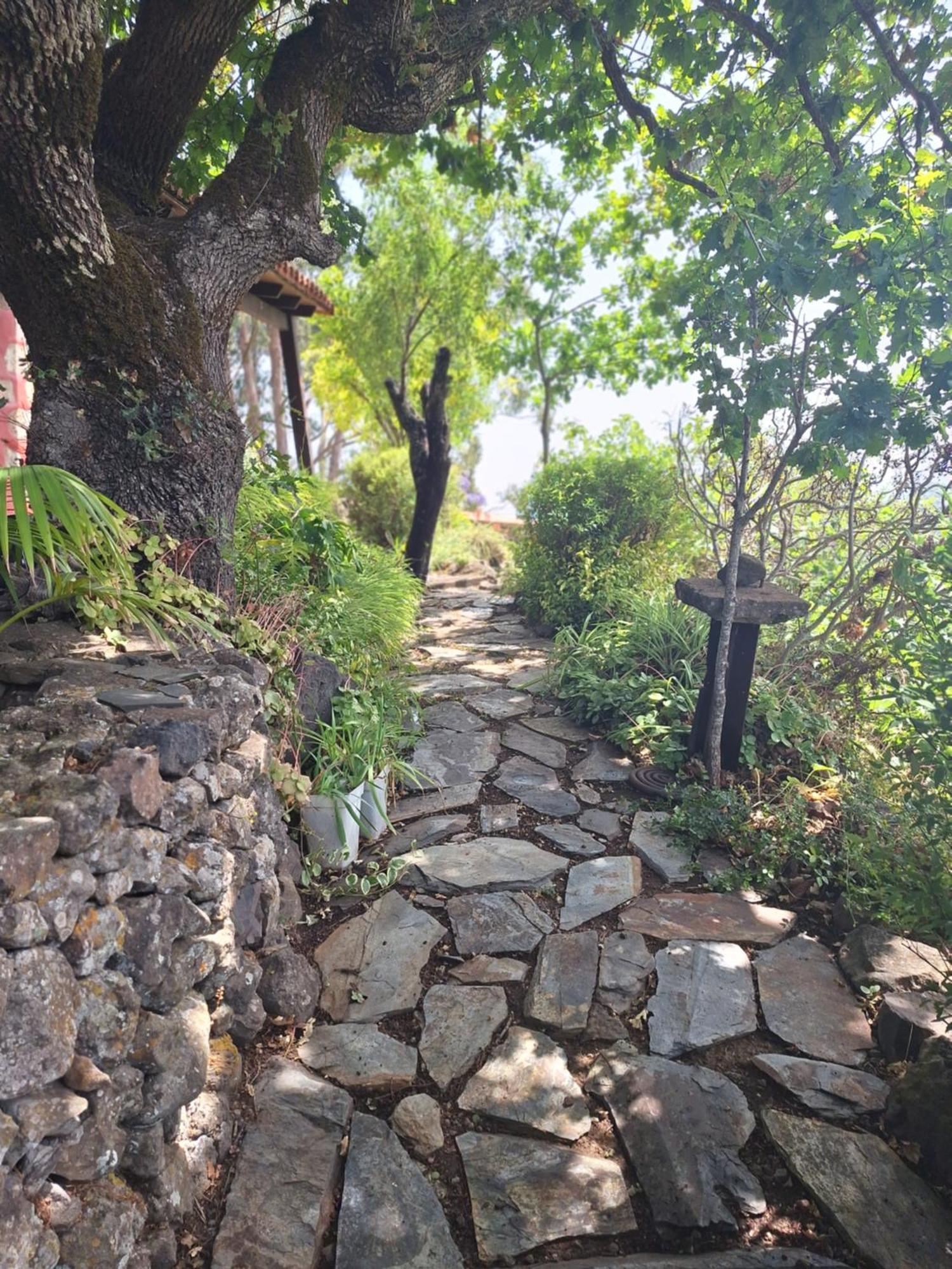 Casa Completa Con Piscina Privada El Roble * Moya (Gran Canaria)