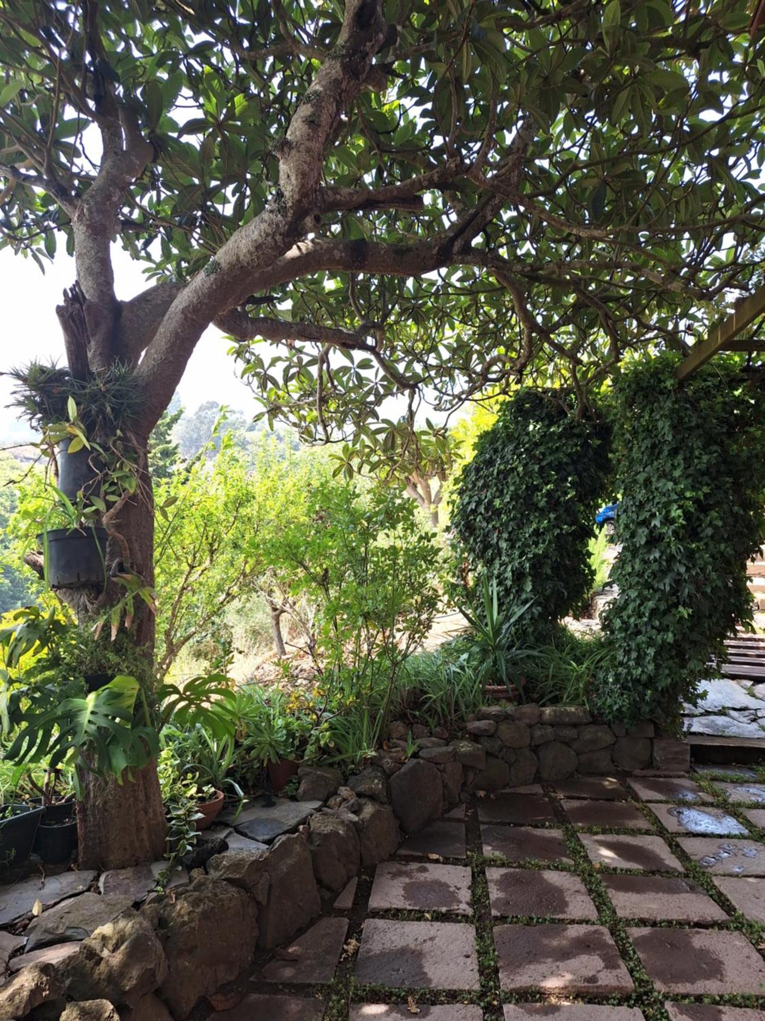 Casa Completa Con Piscina Privada El Roble Moya (Gran Canaria)