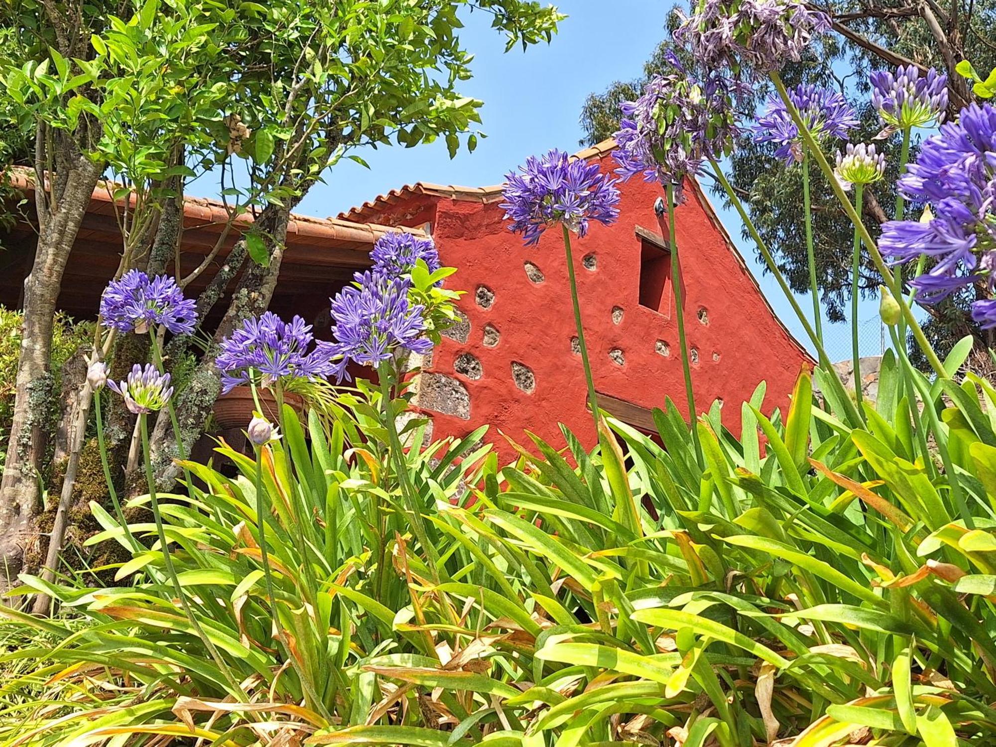 Casa Completa Con Piscina Privada El Roble Casa rural *