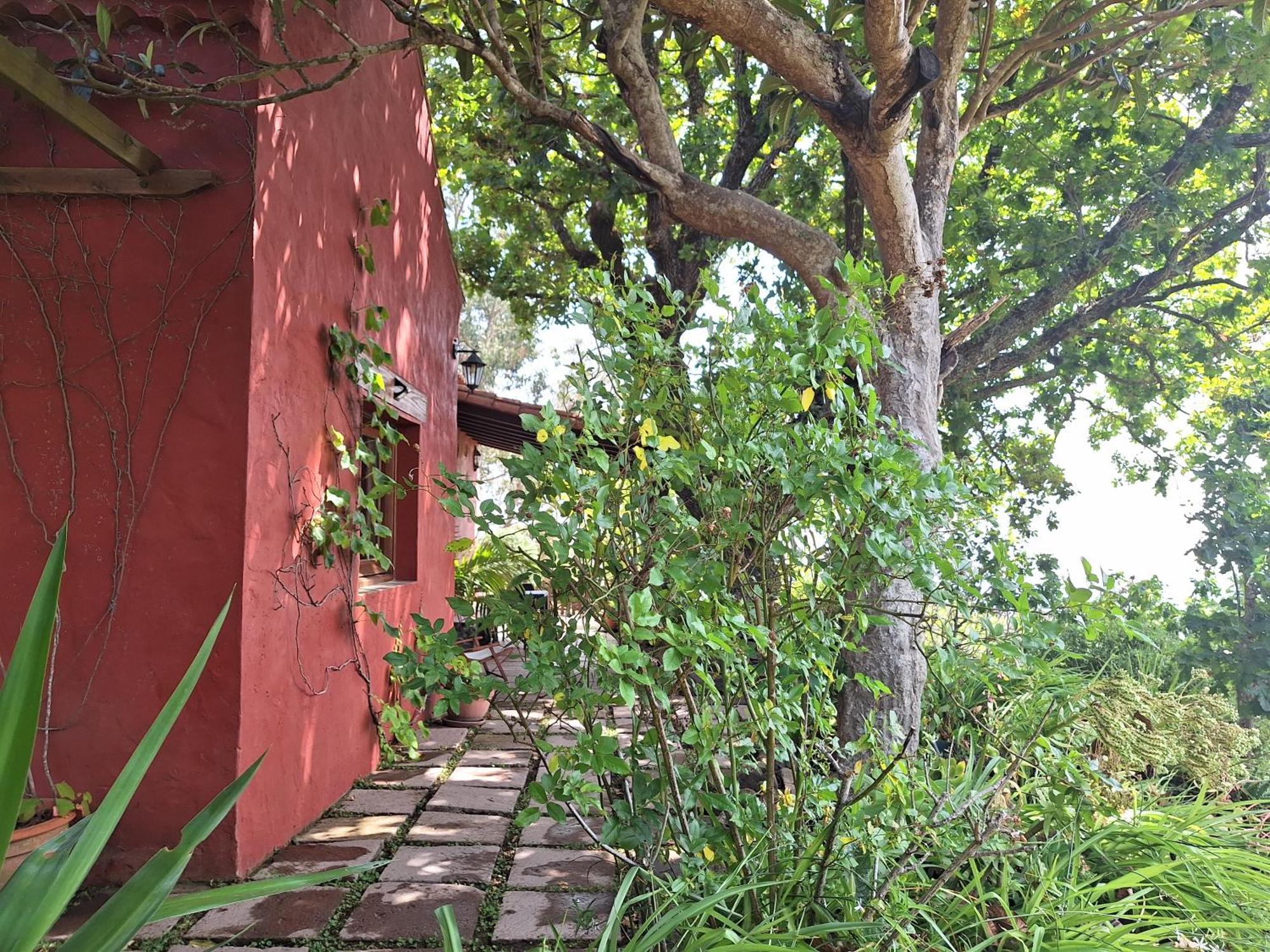 Casa Completa Con Piscina Privada El Roble * Moya (Gran Canaria)