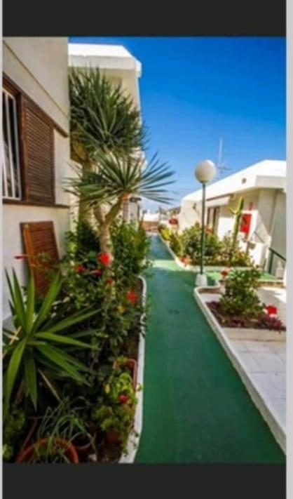 Puerto Rico Savage 3 Apartment