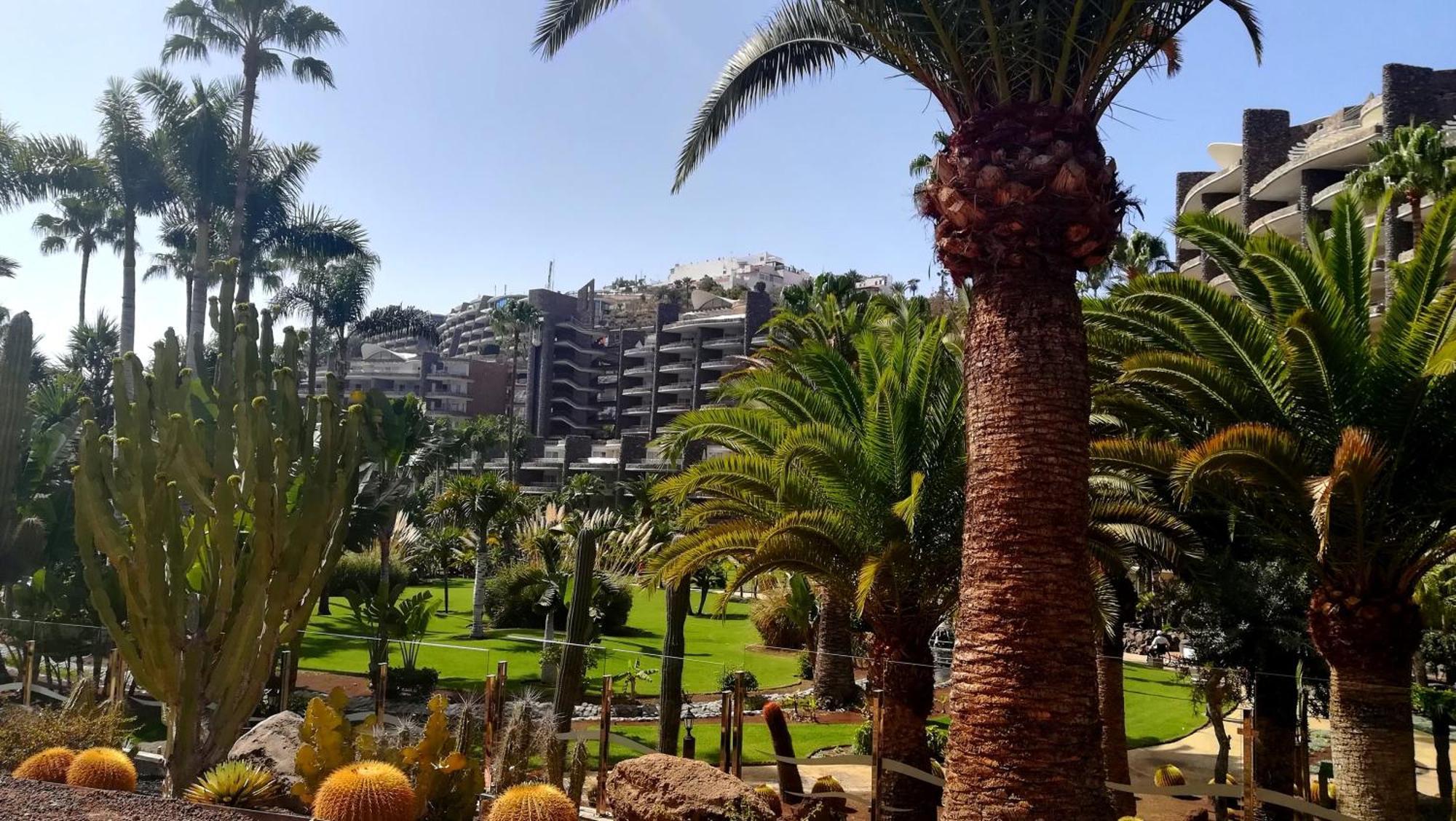 Sunny Days On Gran Canaria * Puerto Rico (Gran Canaria)