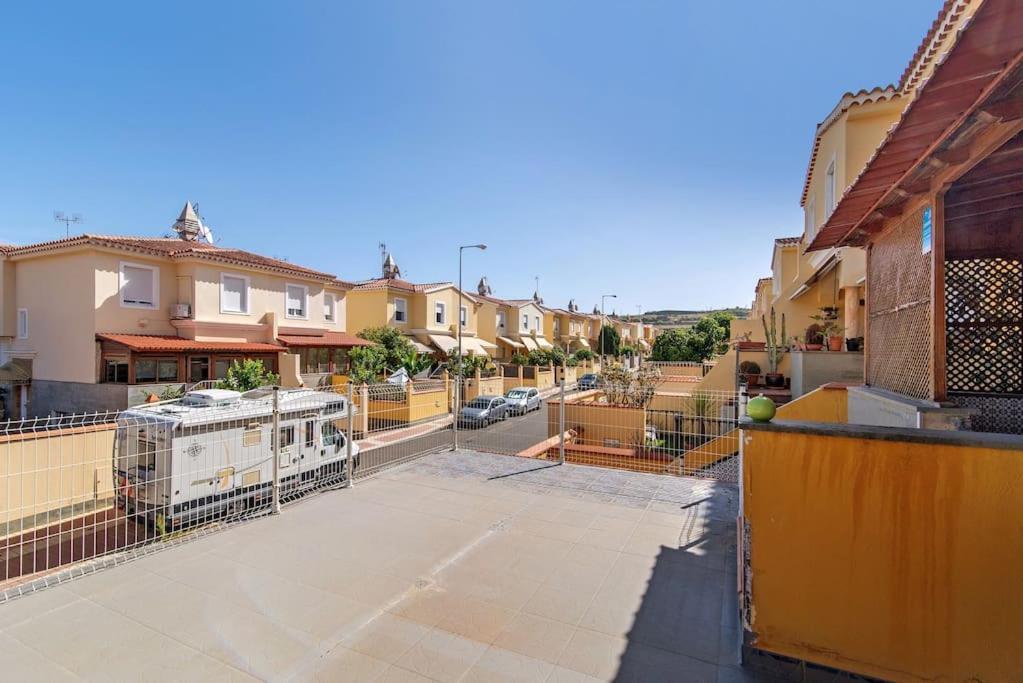 Vencejos Las Palmas de Gran Canaria