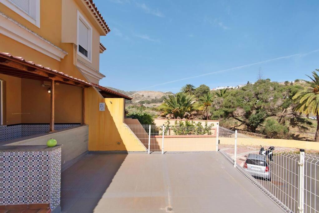 Vencejos Las Palmas de Gran Canaria