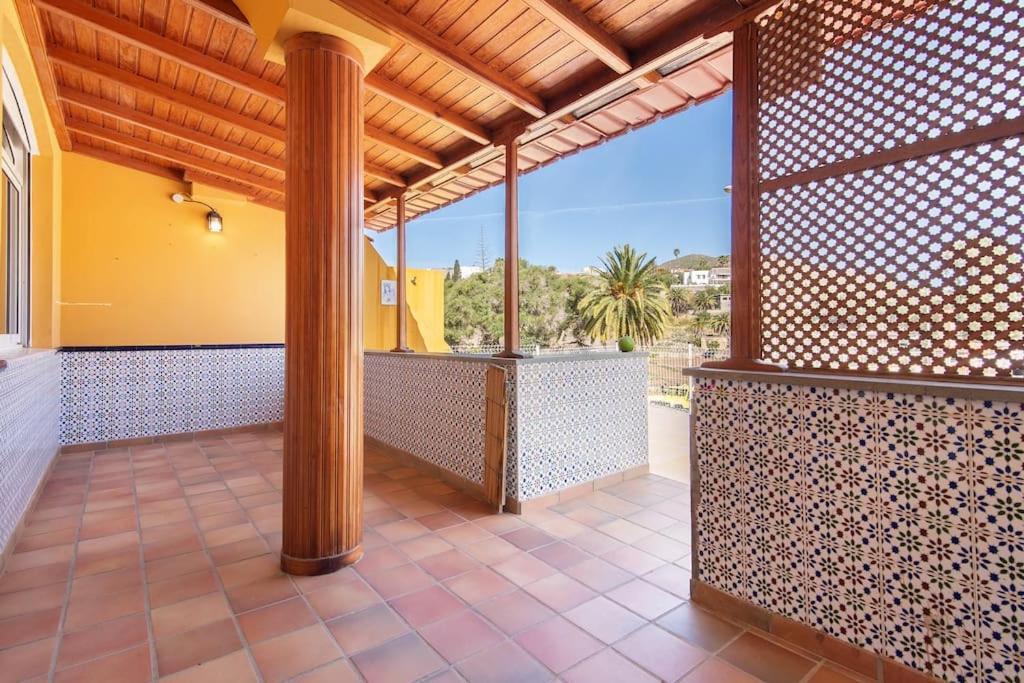 Vencejos * Las Palmas de Gran Canaria