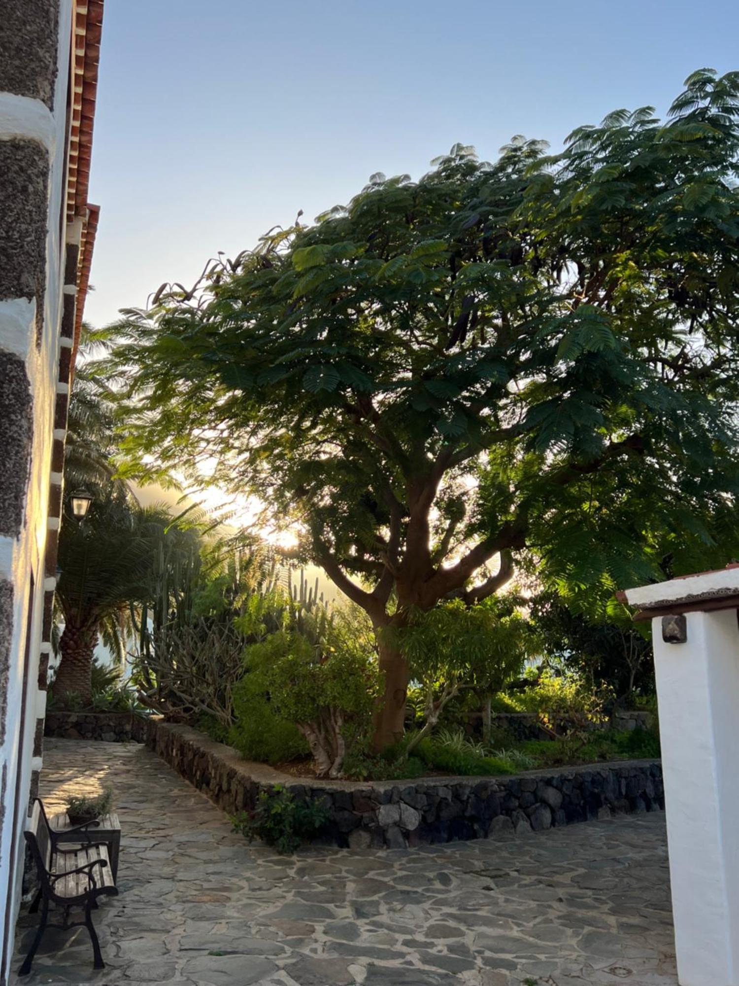 Exclusiv La Mareta Agaete (Gran Canaria)