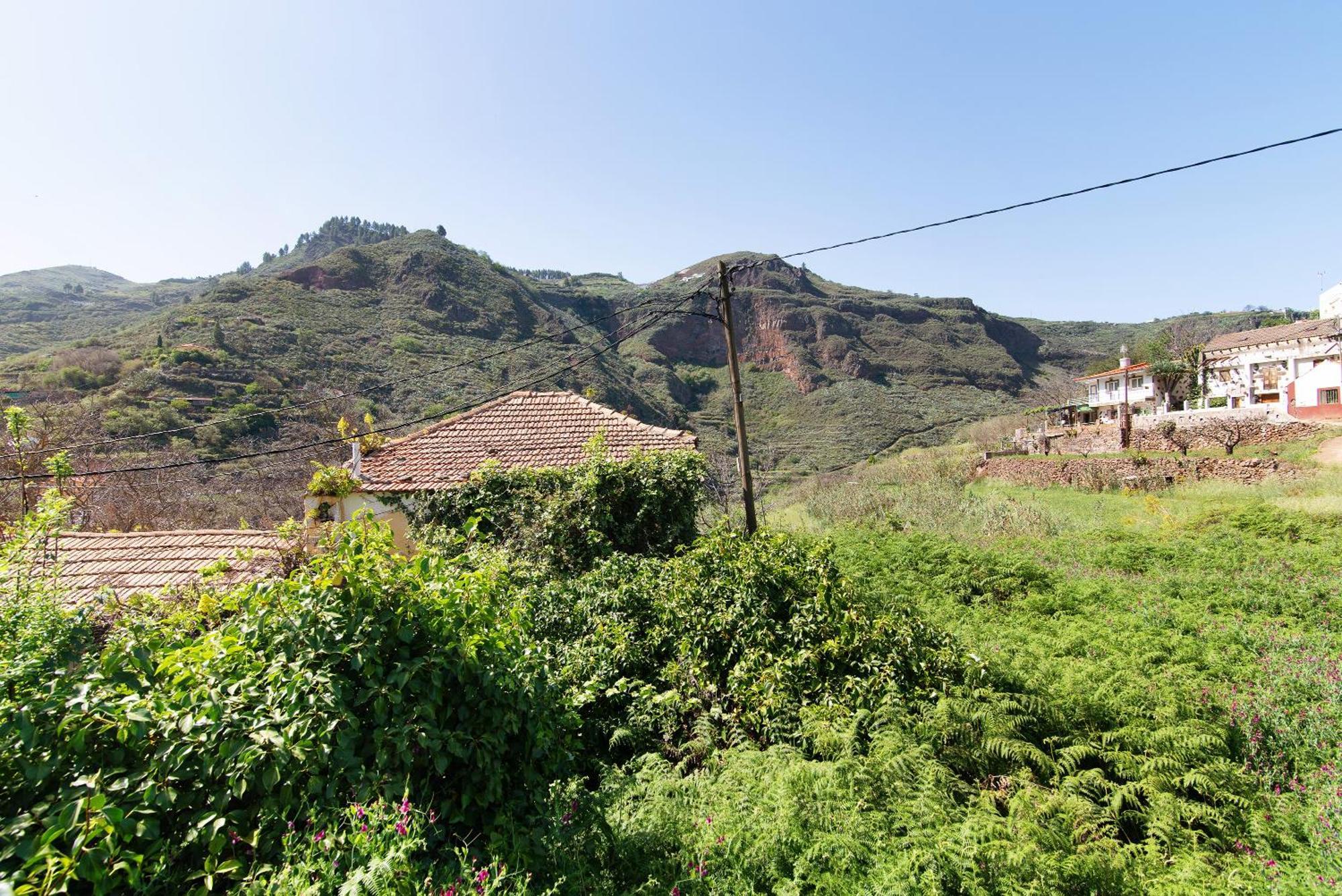 Alma Vega de San Mateo