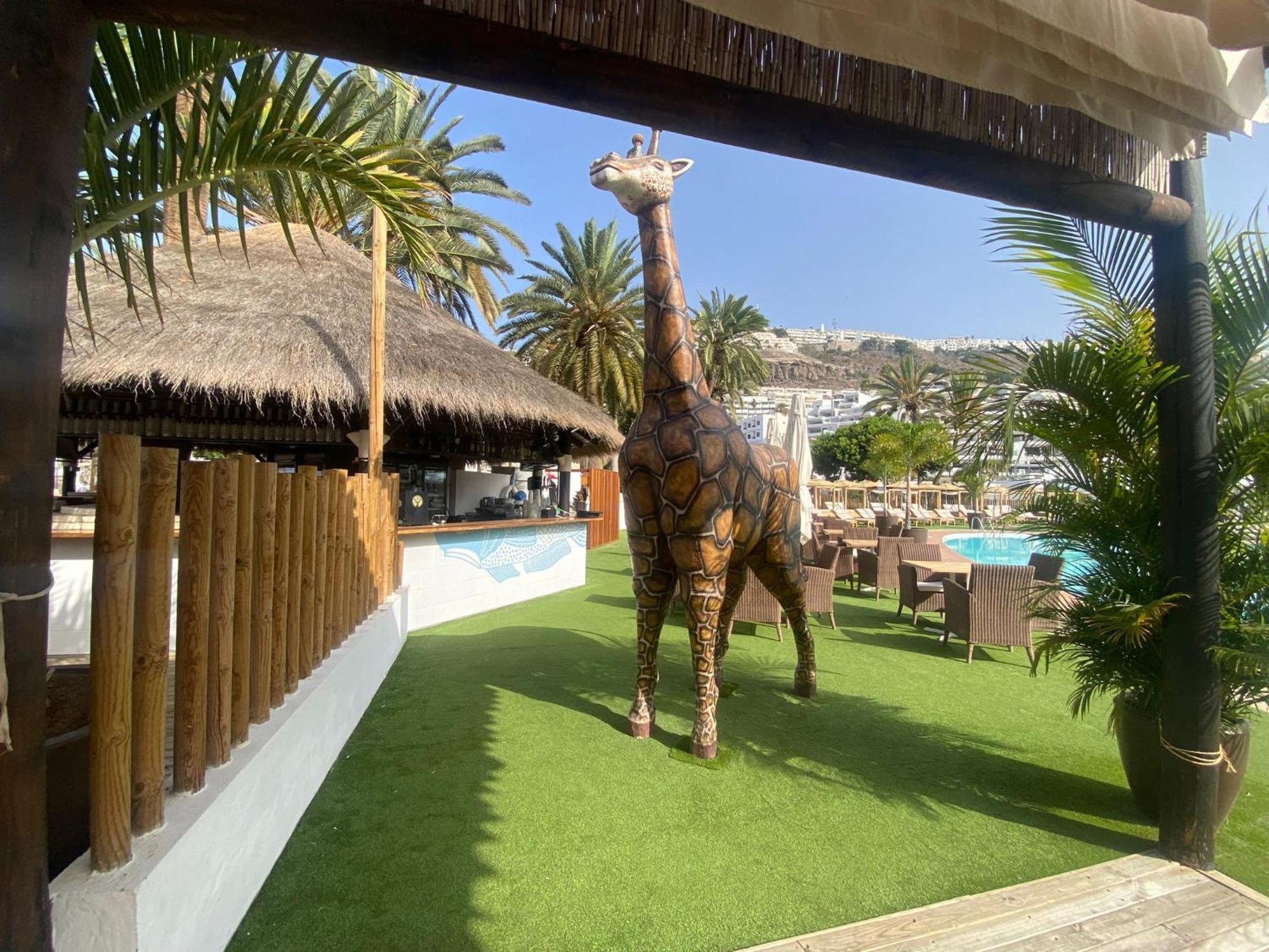 Stylish And Comfortable Duplex Near Swimming Pool