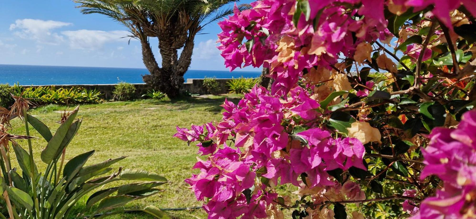 Apartamento Monte Del Moro Ocean View San Agustín