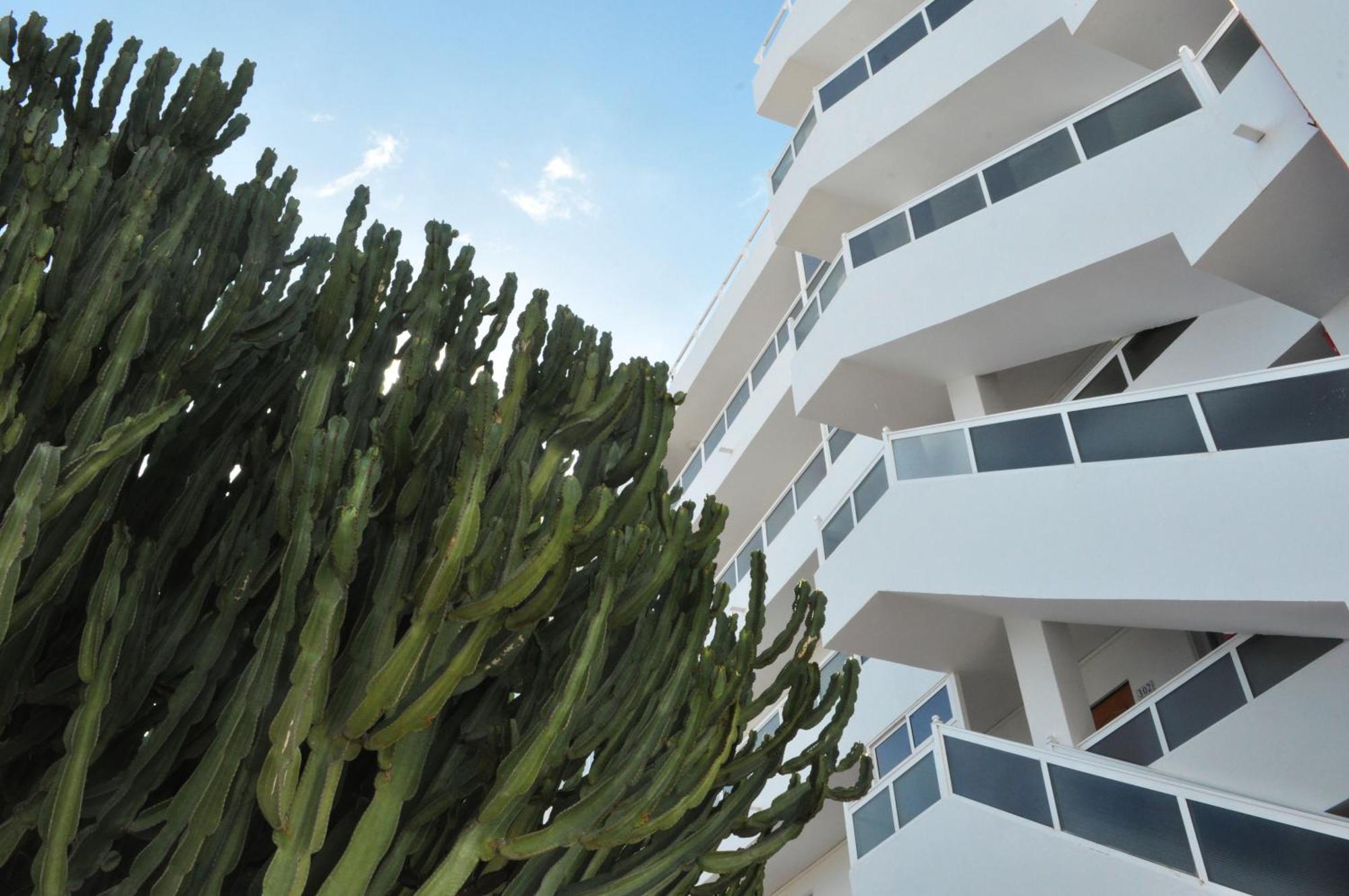 Apartment Calma Playa del Ingles (Gran Canaria)