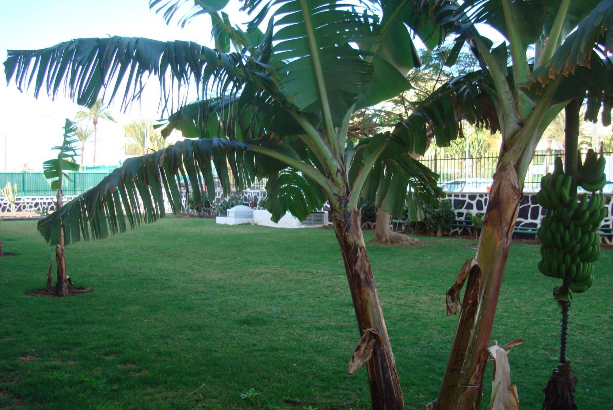Appartement Cactus *