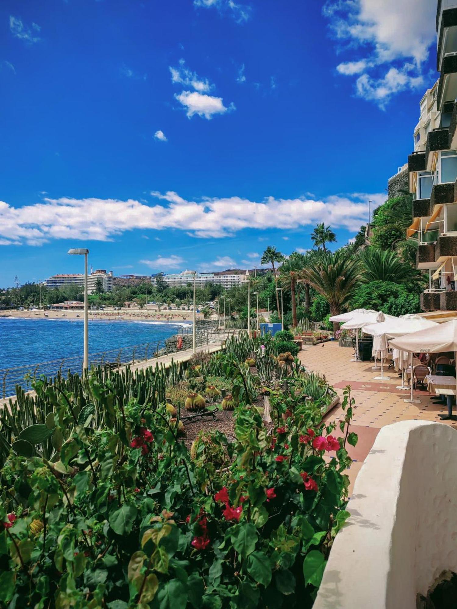 Apartamento Ocean Maspalomas San Agustín