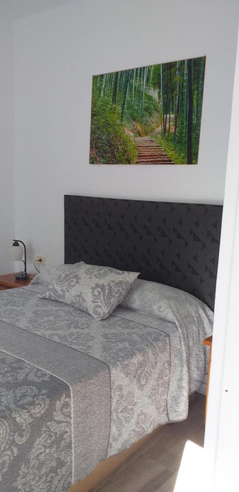 Casa Faican Apartment Agaete (Gran Canaria)
