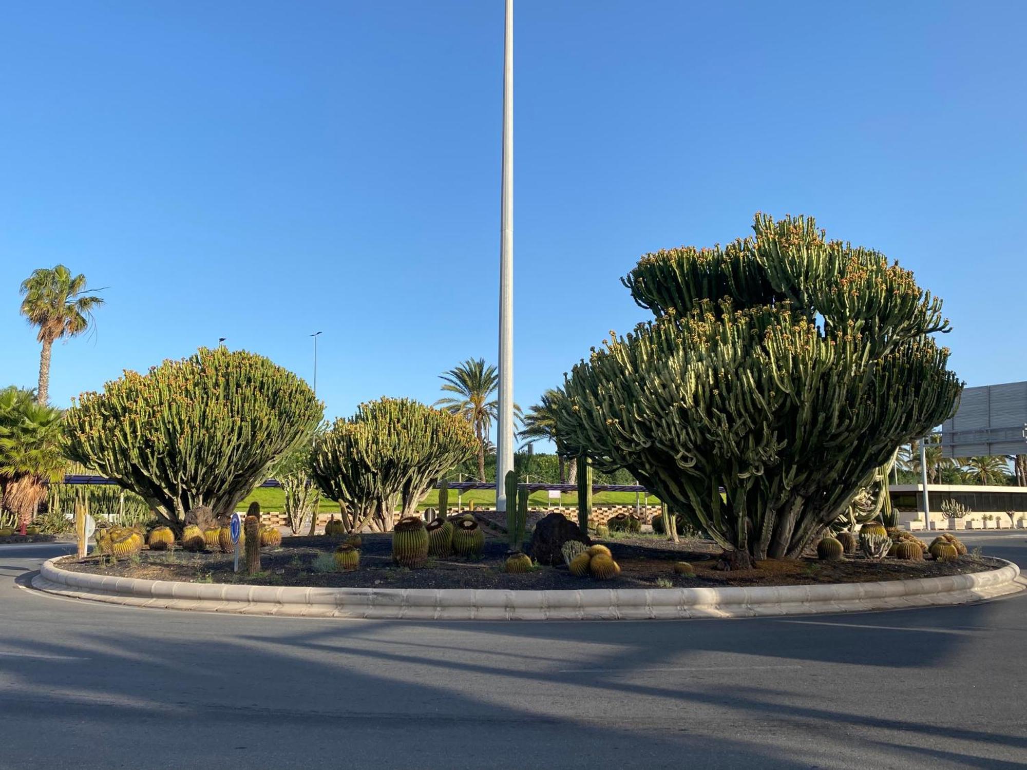 La Sal Marina 2a
