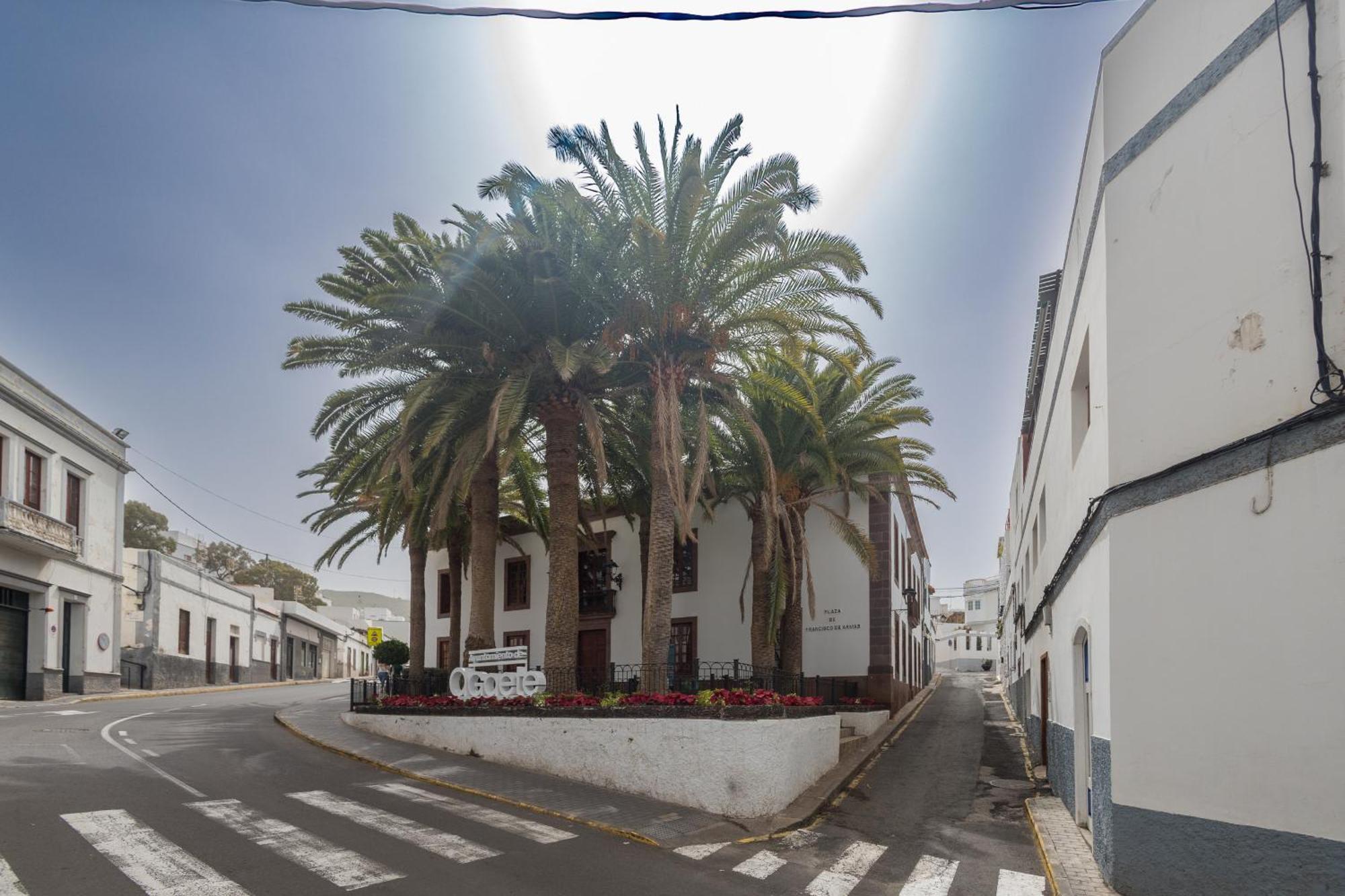Agaete Botanic - Rooftop Solarium * Agaete (Gran Canaria)