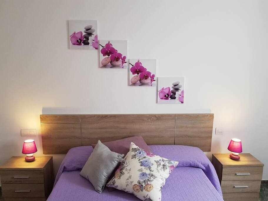 Harizan Appartement