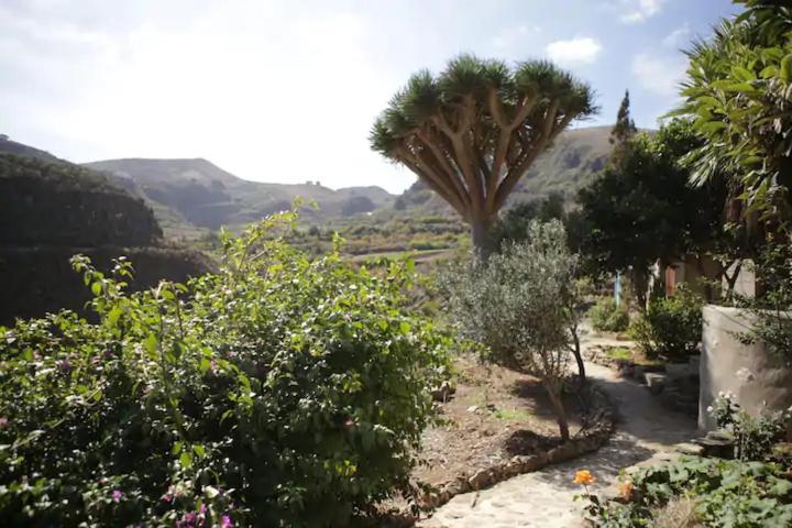 De Poetas Vakantieboerderij *