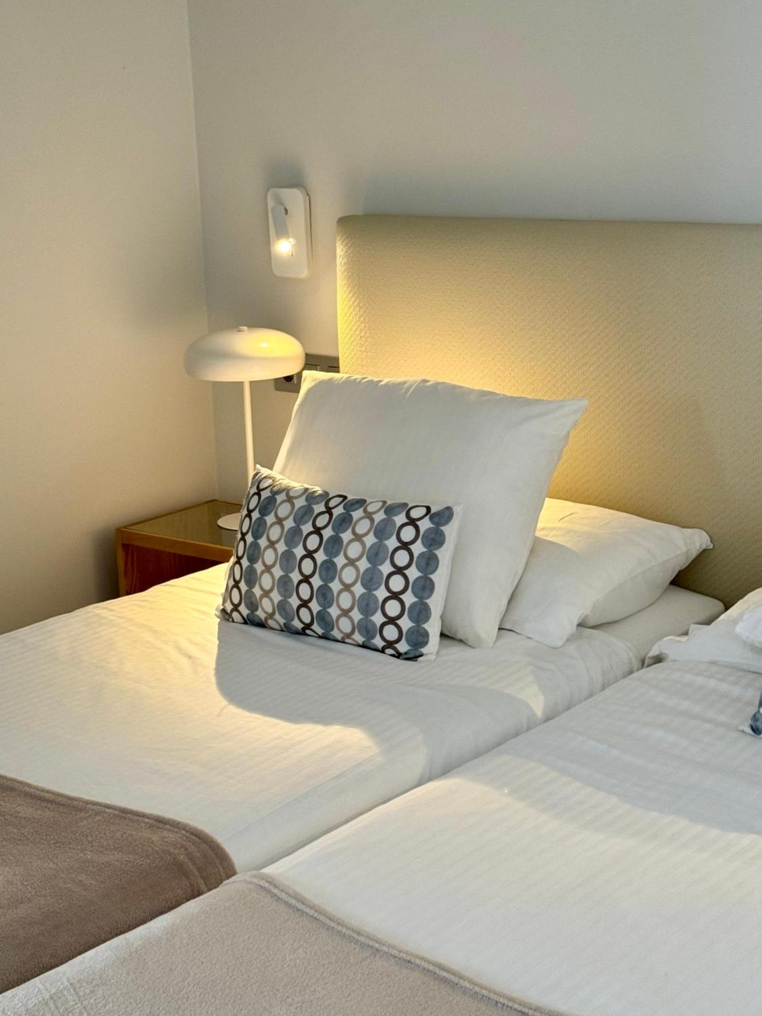 Ombu- Complejo Papagayos Apartment San Bartolome de Tirajana (Gran Canaria)