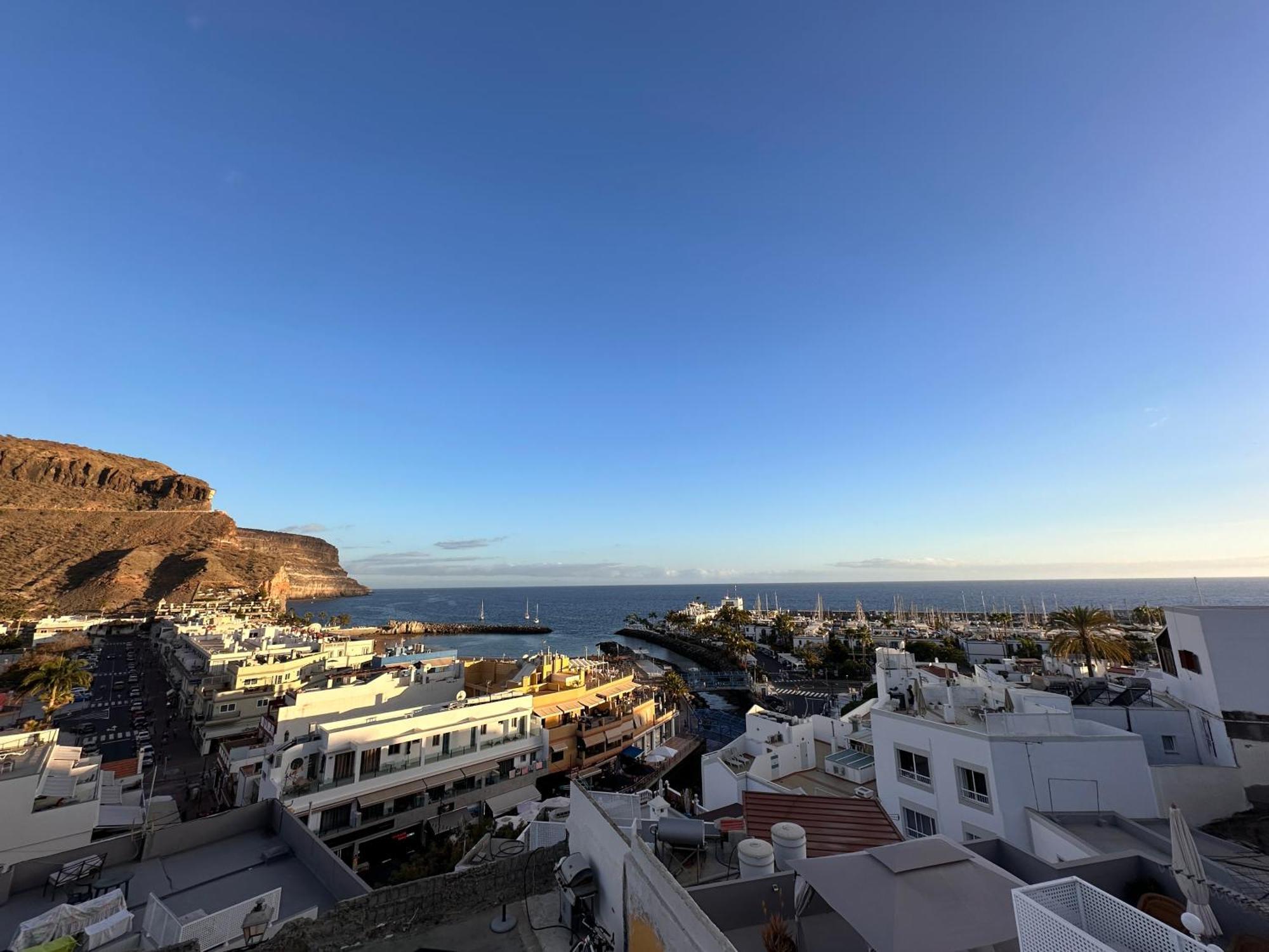 Apartamento Palm Leaf Mogan