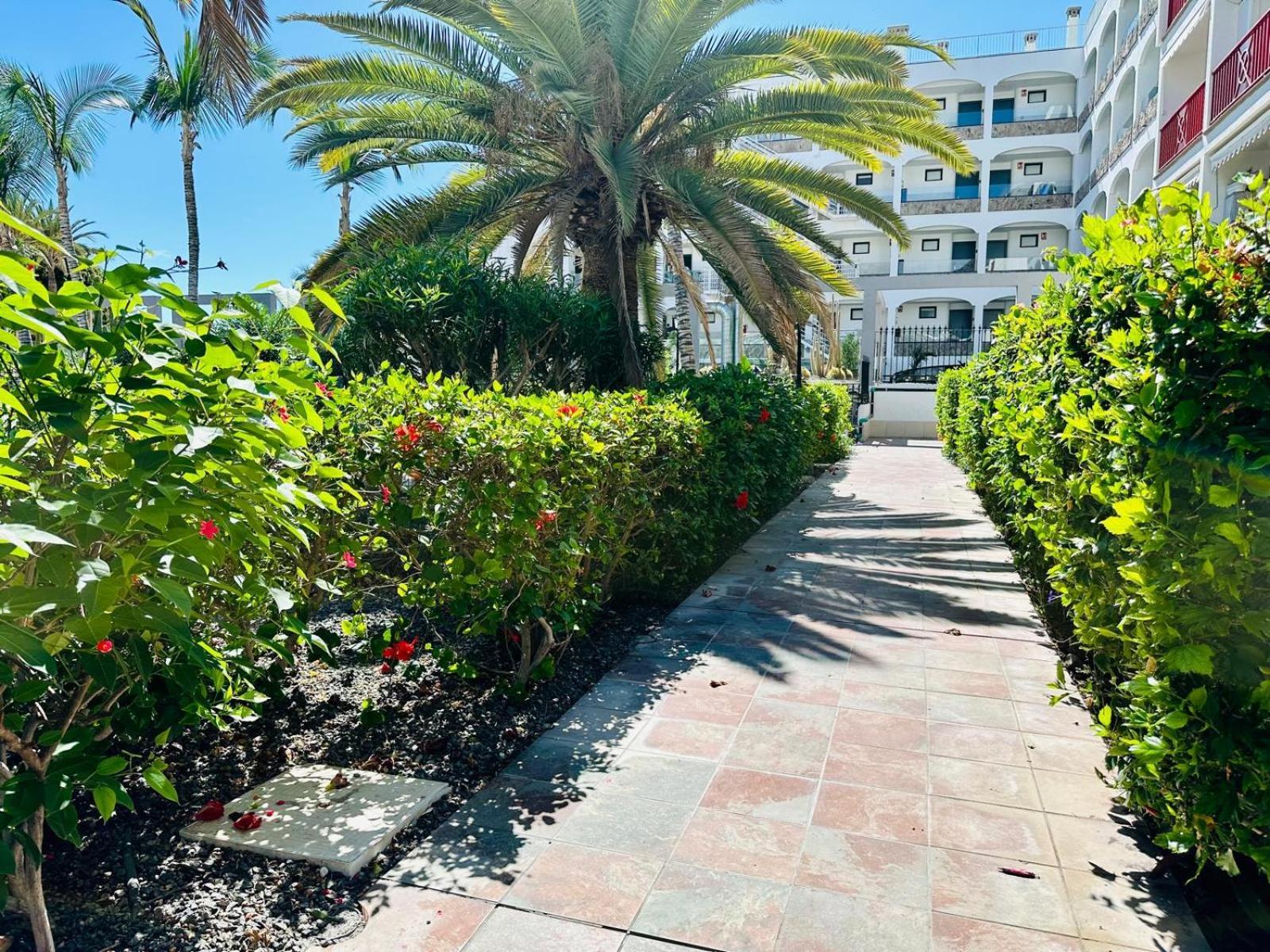 Apartment - Beachside Retreat Playa Del Cura (Gran Canaria)